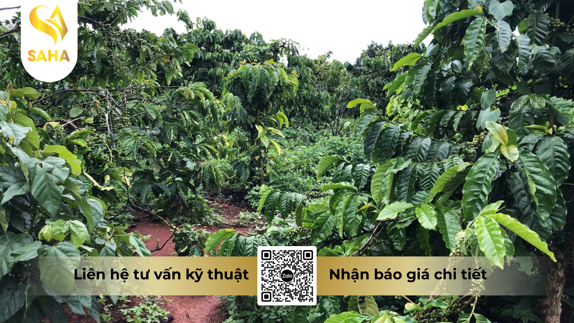 cau-hoi-thuong-gap-ve-thuoc-tru-co-glufocide-200sl-hieu-roundup-480-900ml.png