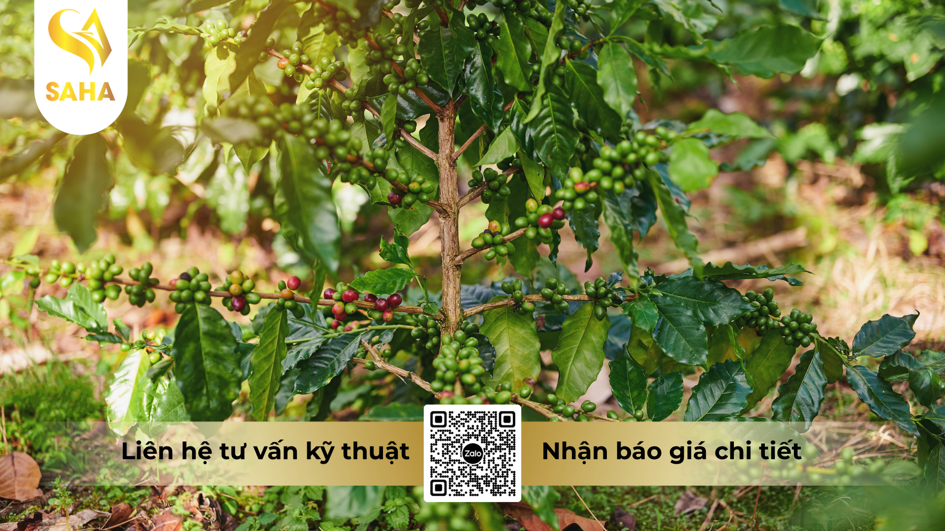 cau-hoi-thuong-gap-ve-thuoc-tru-co-gussi-bastar-200sl-hieu-kanup-480sl.png