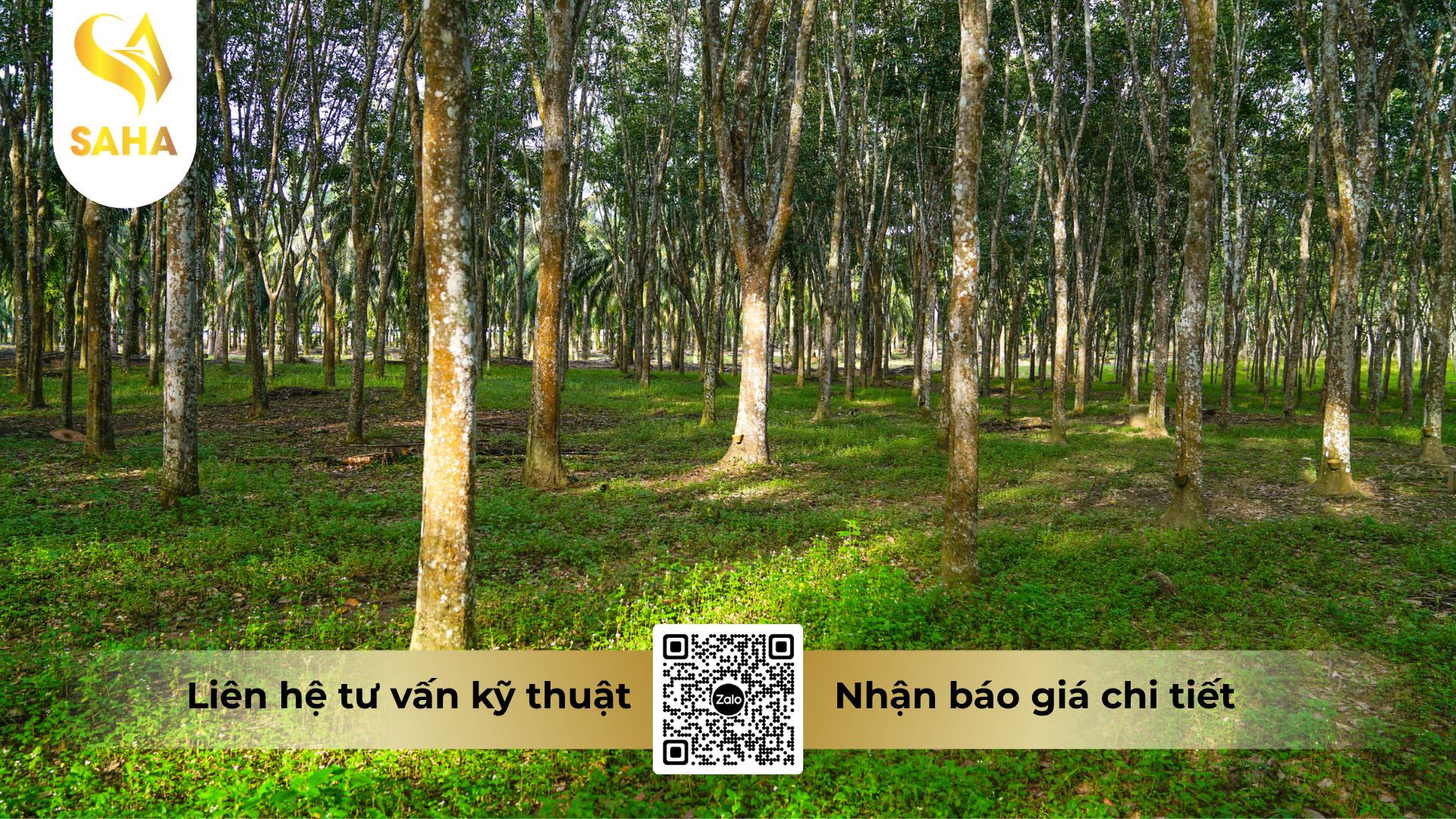 cau-hoi-thuong-gap-ve-thuoc-tru-co-gussi-bastar-200sl-thay-the-kanup-480sl.png