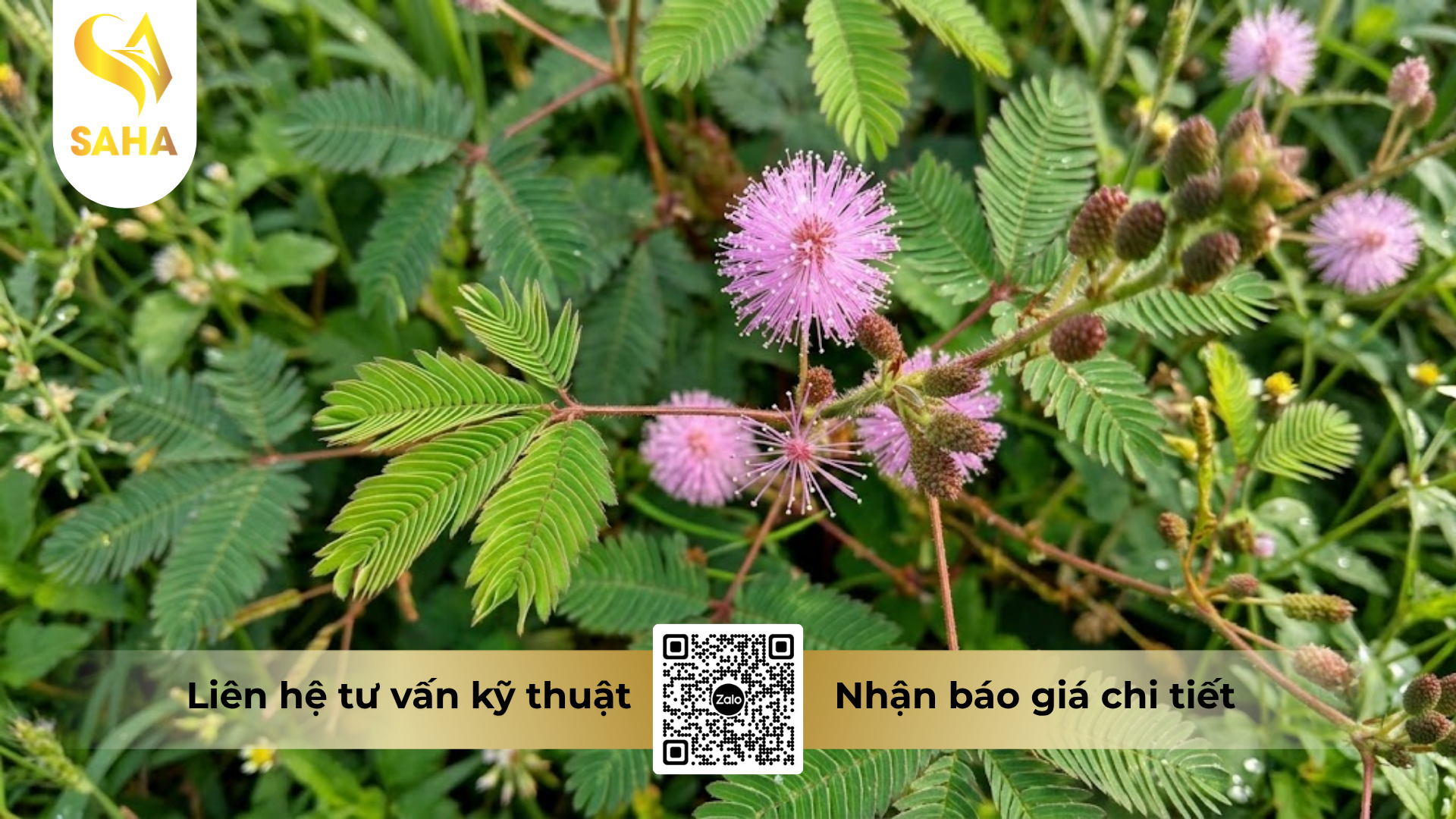 cong-dung-cua-thuoc-tru-co-kamup-150sl-diet-co-q9.png
