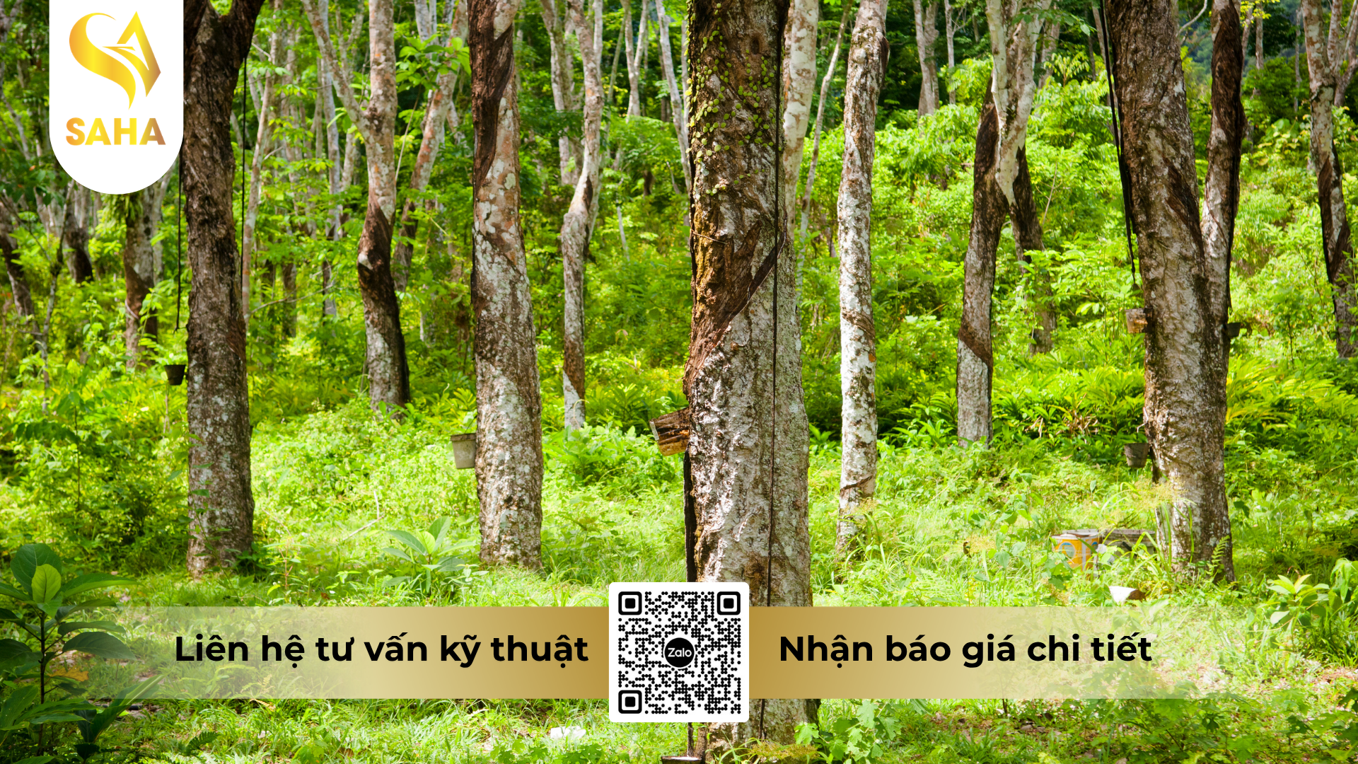 cau-hoi-thuong-gap-ve-thuoc-tru-co-newfosinate-150sl-hieu-focus.png