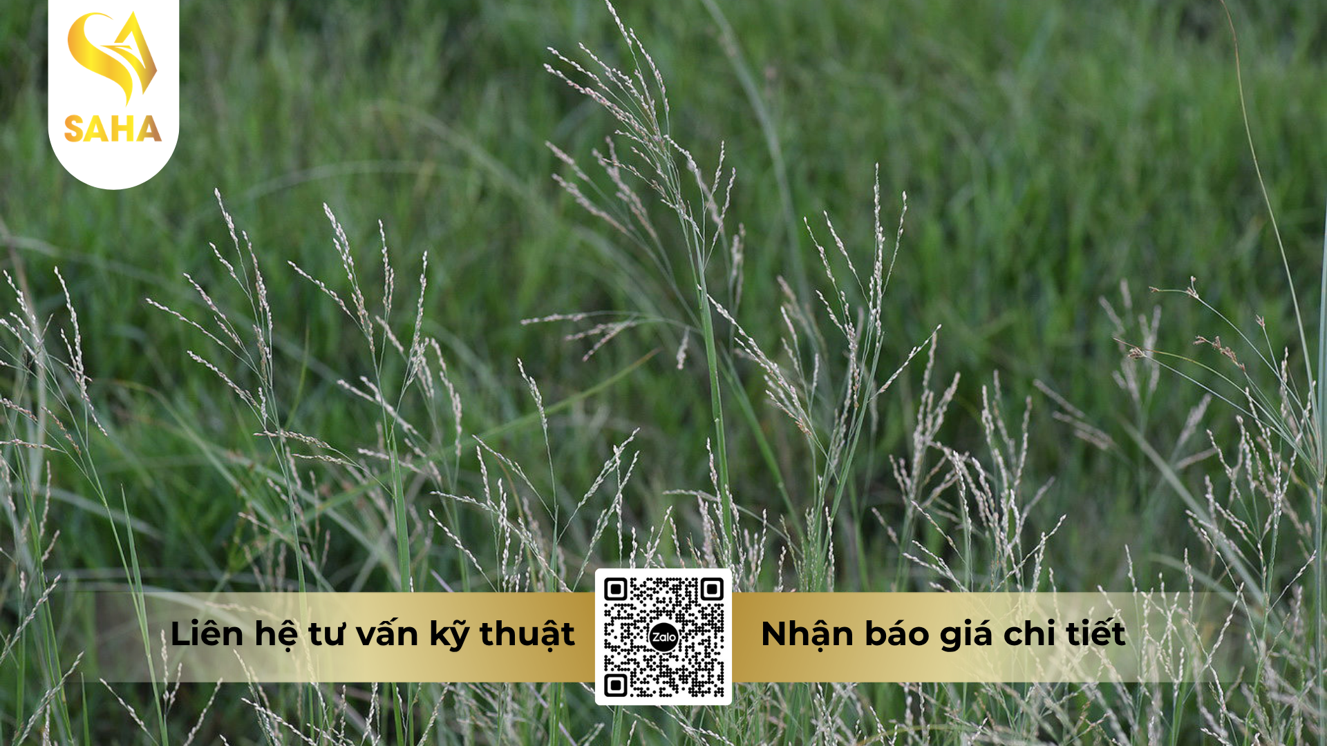 cong-dung-cua-thuoc-tru-co-newfosinate-150sl-hieu-focus.png