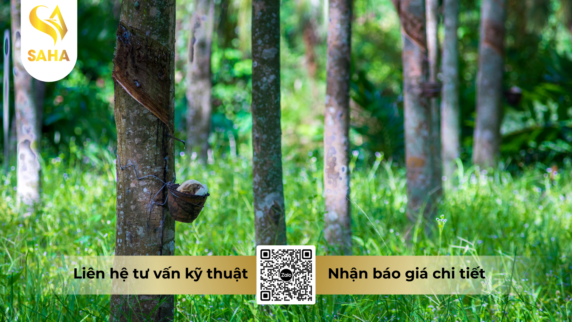 cau-hoi-thuong-gap-ve-thuoc-tru-co-newfosinate-150sl-hieu-focus-900ml.png