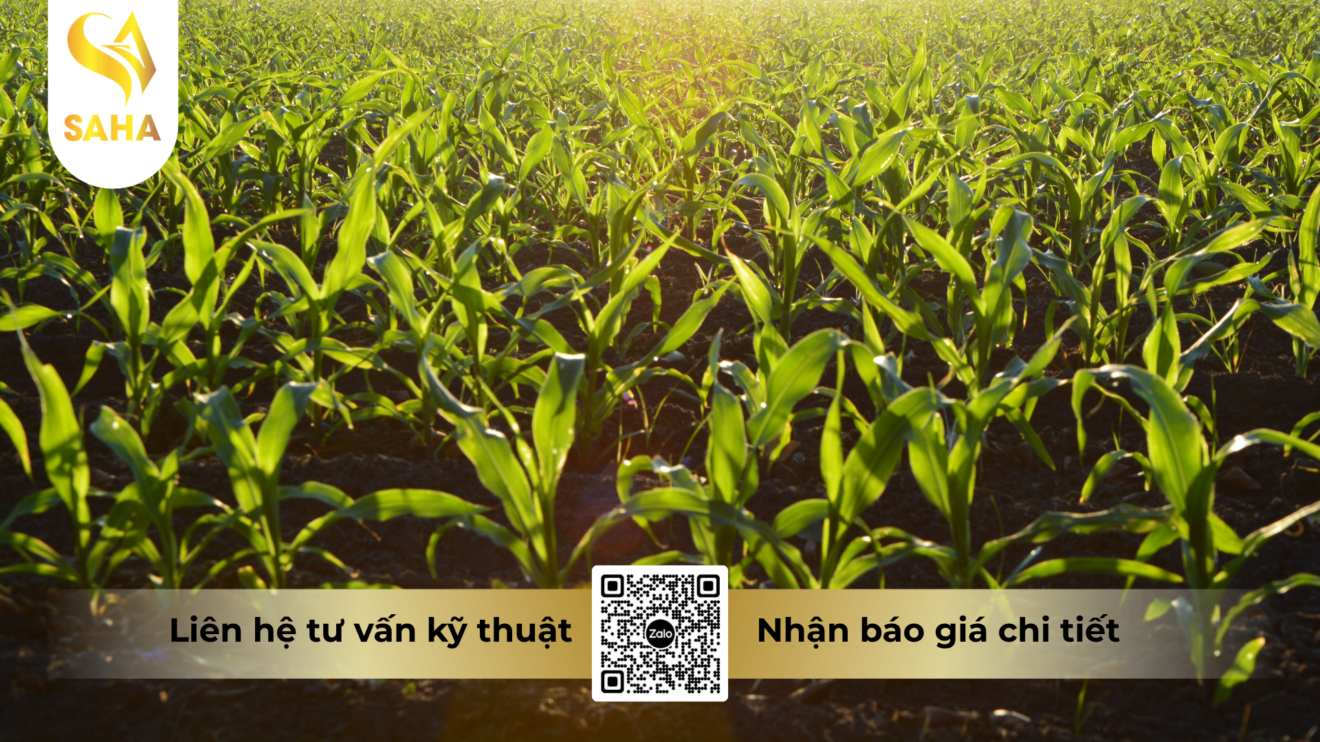 cau-hoi-thuong-gap-ve-thuoc-tru-co-wamrin-80wp.png