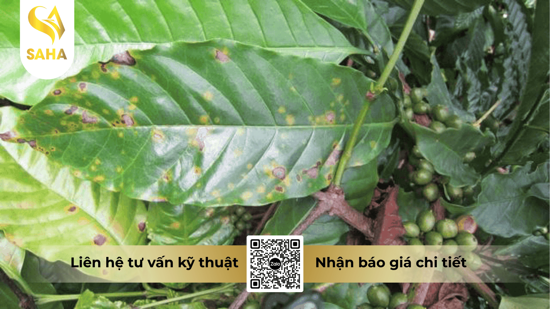 cong-dung-thuoc-tru-benh-anwinnong-100sc.png