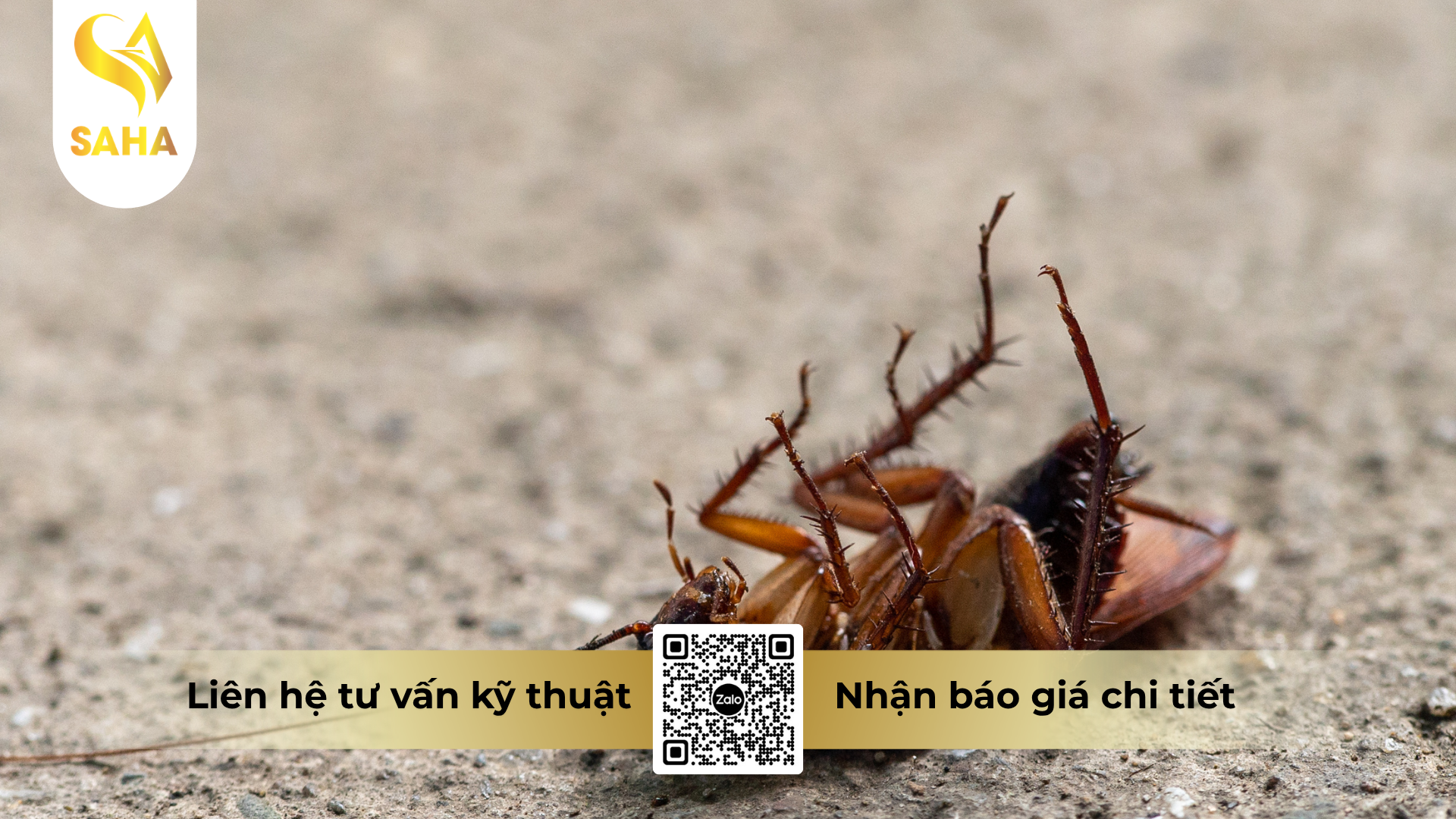 cau-hoi-thuong-gap-ve-che-pham-diet-con-trung-alkado-100sc.png