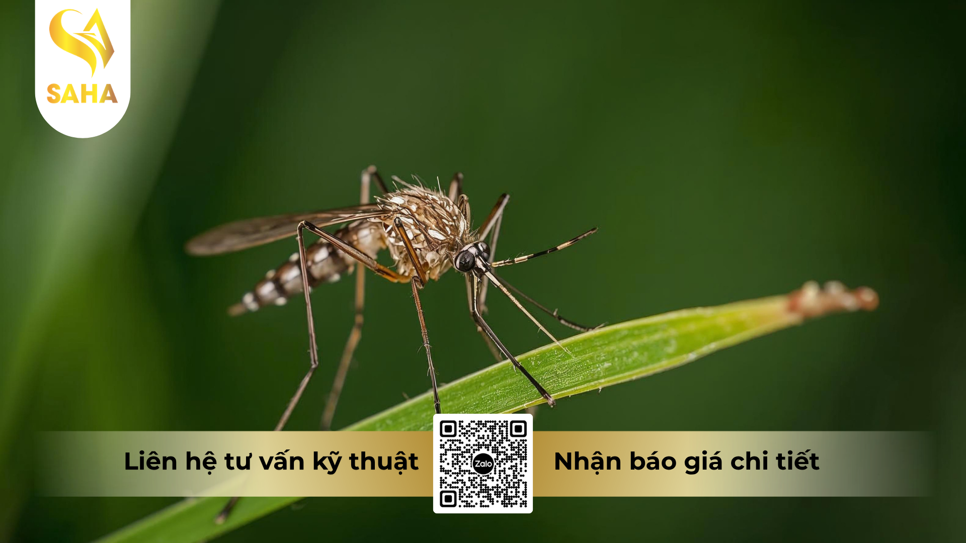 cong-dung-cua-che-pham-diet-con-trung-alkado-100sc.png