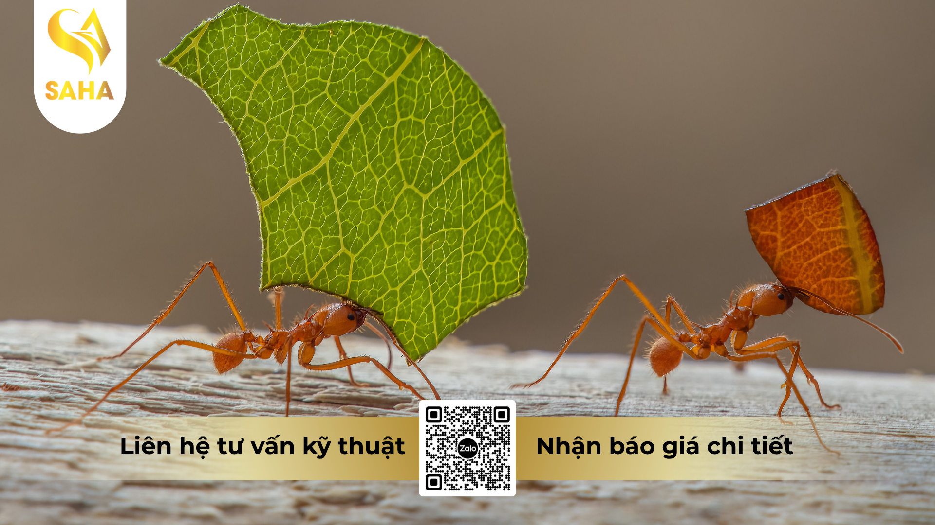 cong-dung-cua-ba-tru-kien-tan-to-btk.png