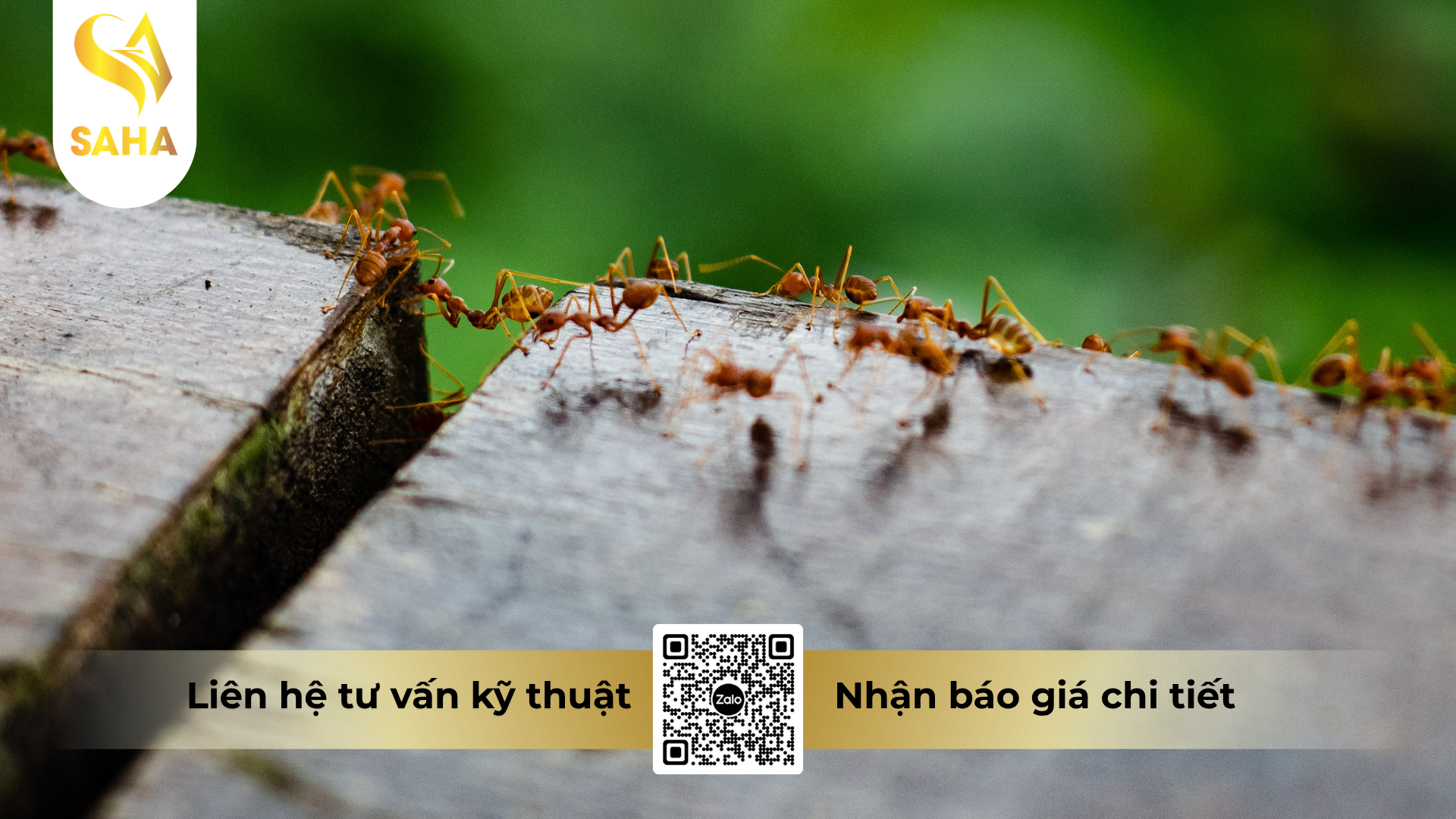 cau-hoi-thuong-gap-ve-ba-tru-kien-tan-to-btk.png