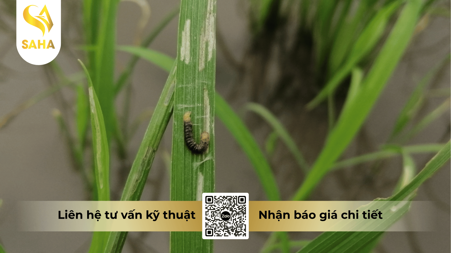 cong-dung-thuoc-tru-sau-apache-4ec.png
