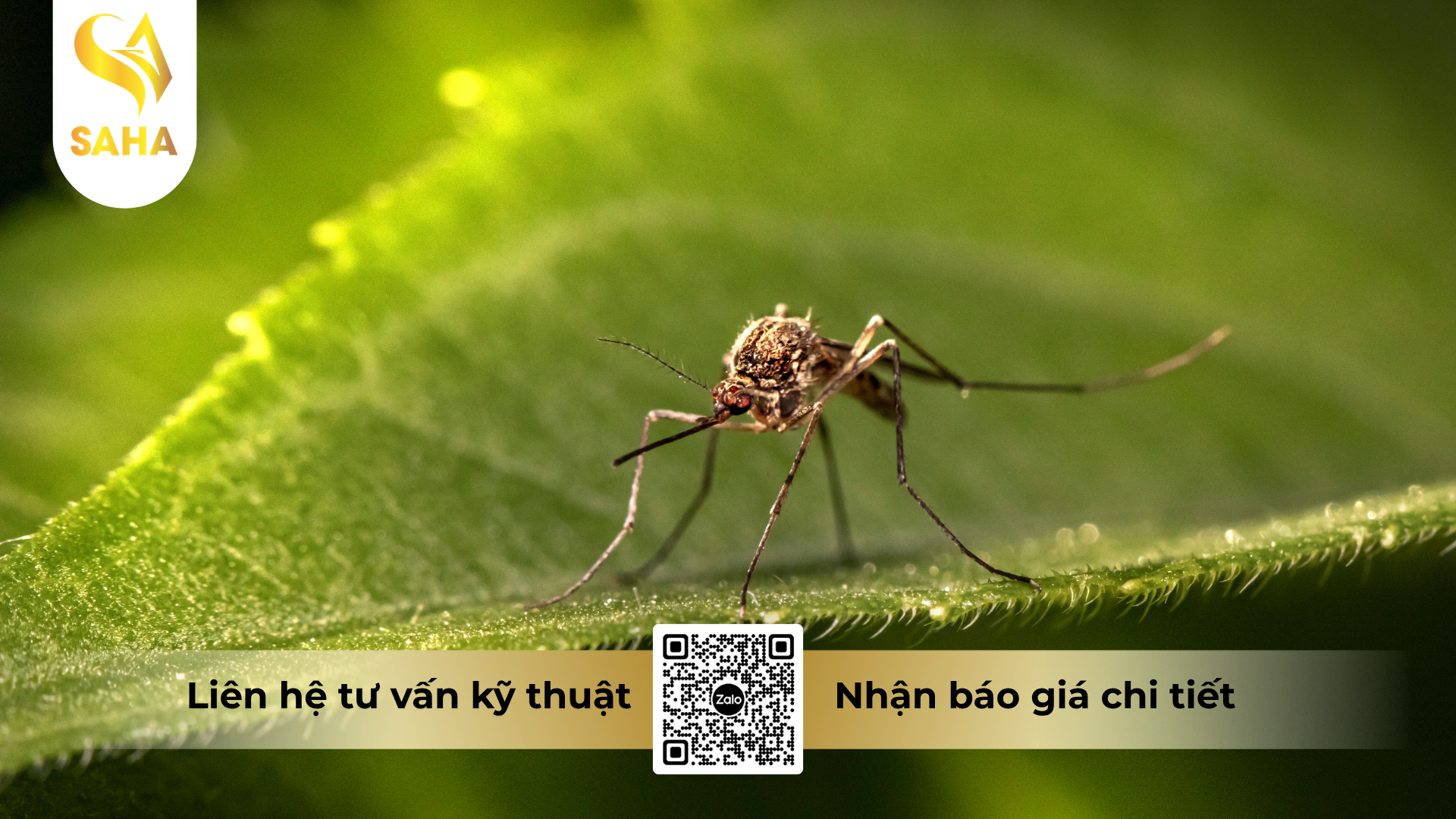 cong-dung-cua-thuoc-diet-con-trung-conket-240sc-hieu-ho-gam.png