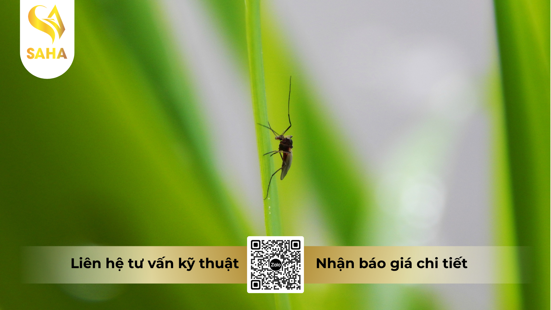 cau-hoi-thuong-gap-ve-che-pham-diet-muoi-deep-clean-550ec.png