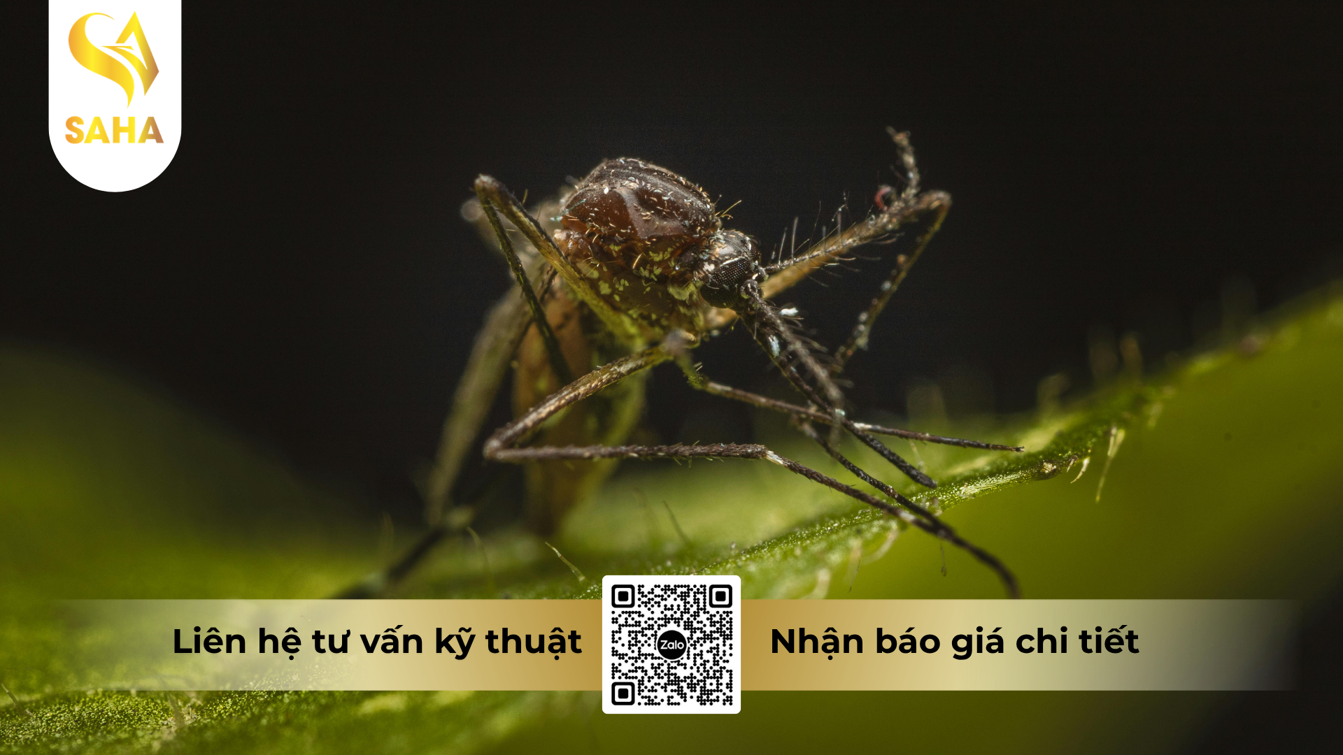 cong-dung-cua-che-pham-diet-muoi-deep-clean-550ec.png