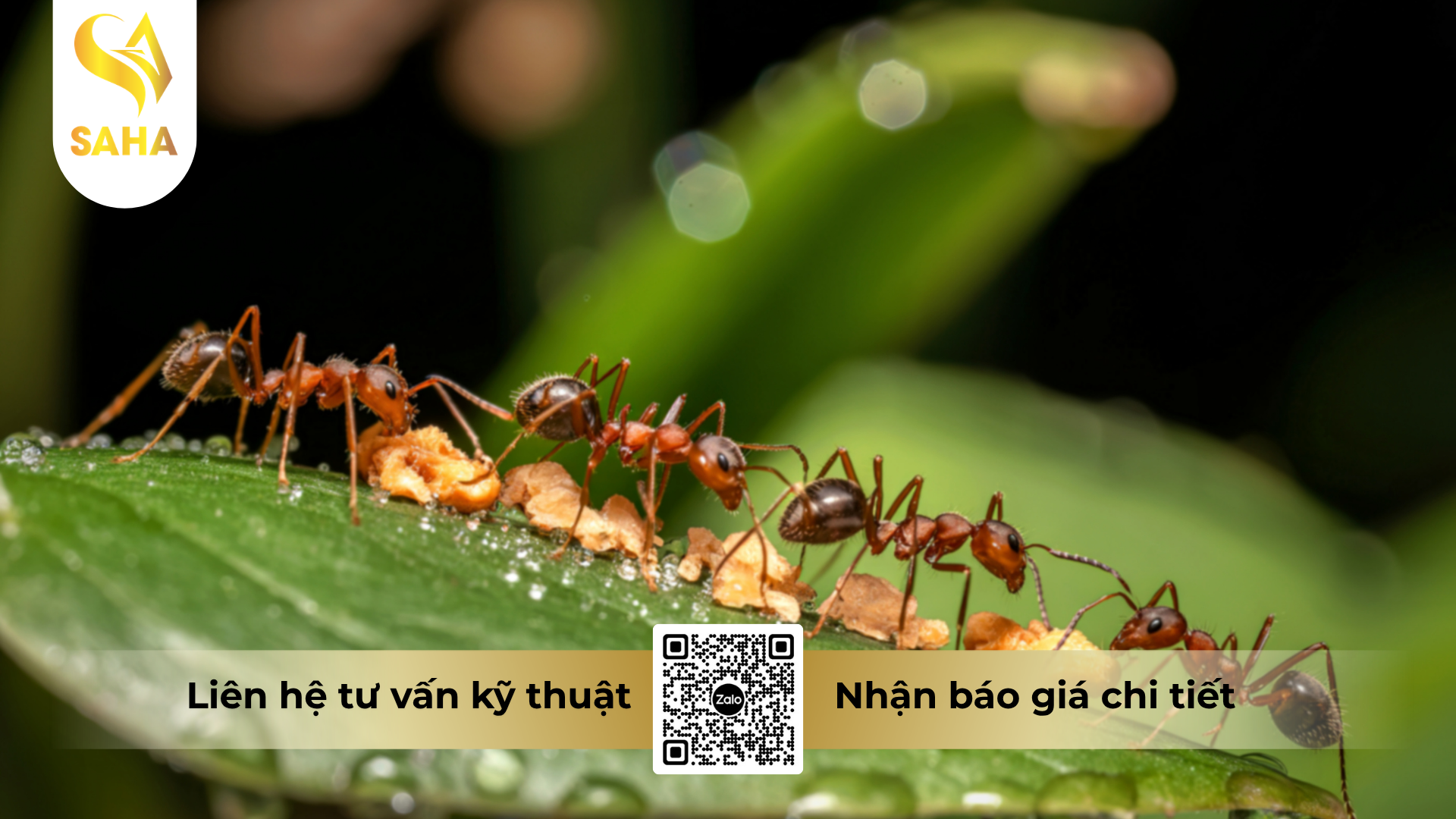 cong-dung-cua-che-pham-y-te-diet-con-trung-kill-12ec.png