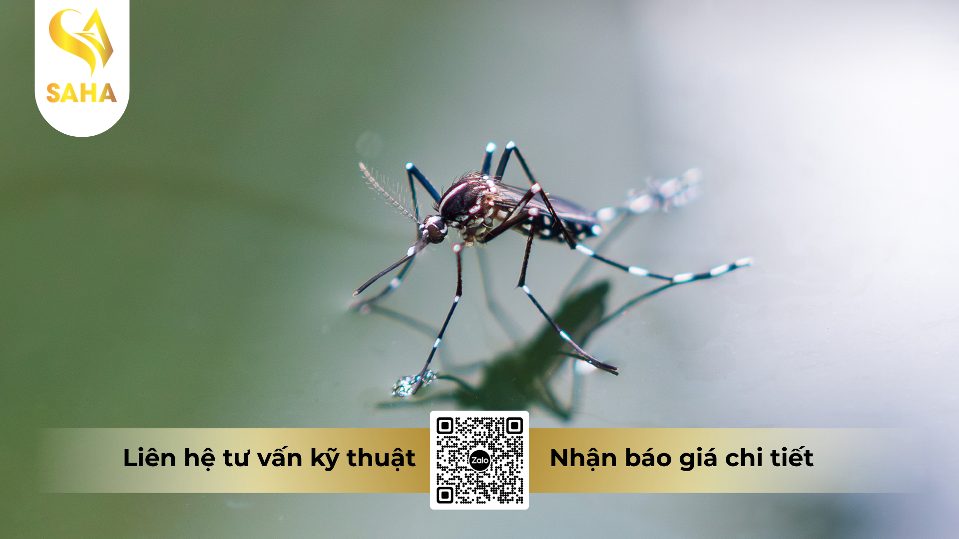 cau-hoi-thuong-gap-ve-che-pham-y-te-diet-con-trung-kill-12ec.png