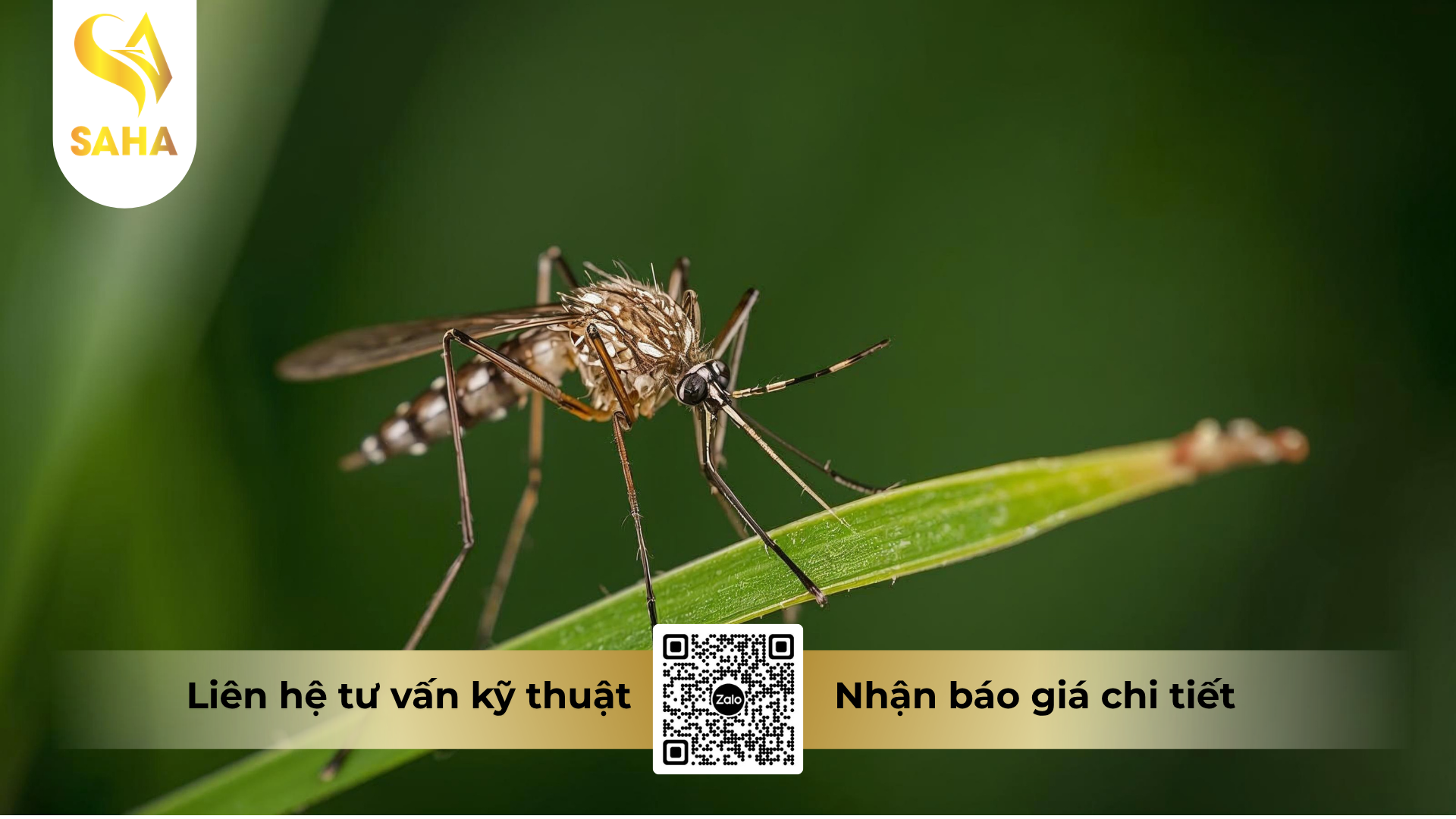 cau-hoi-thuong-gap-ve-che-pham-y-te-diet-con-trung-lamkatox-100ec-1l.png