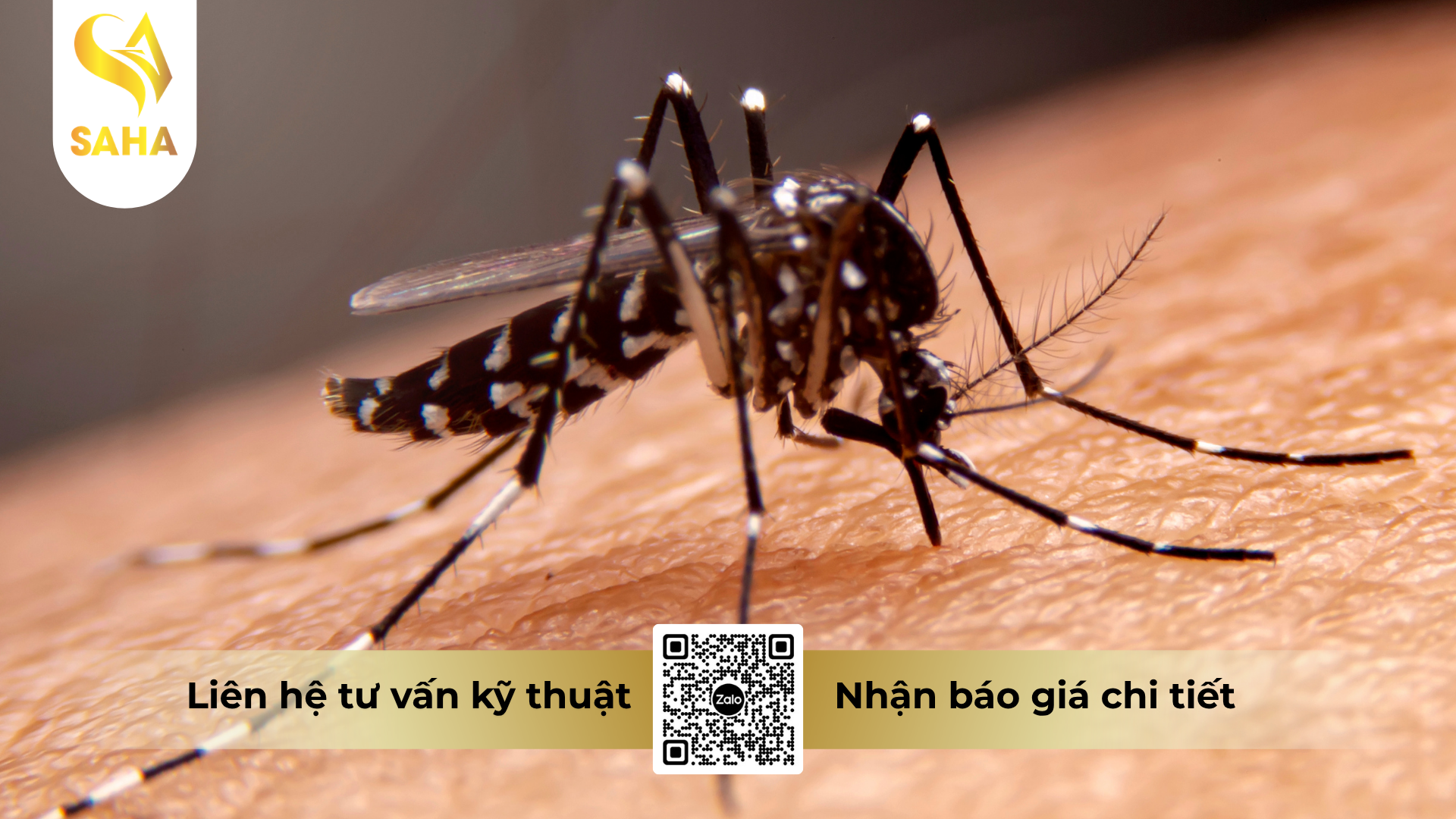 cong-dung-cua-che-pham-y-te-diet-con-trung-lamkatox-100ec-500ml.png