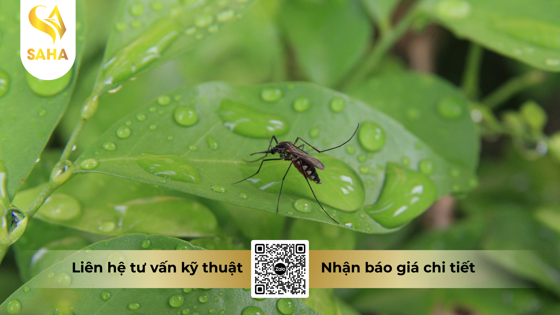 cau-hoi-thuong-gap-ve-che-pham-y-te-diet-con-trung-perkado-500ec.png