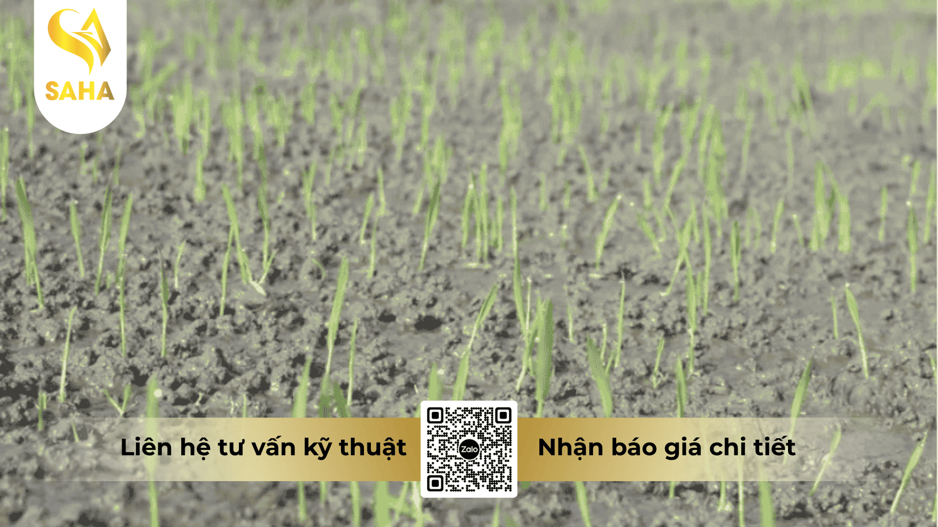 thong-tin-chung-thuoc-tru-co-ari-25ec.png