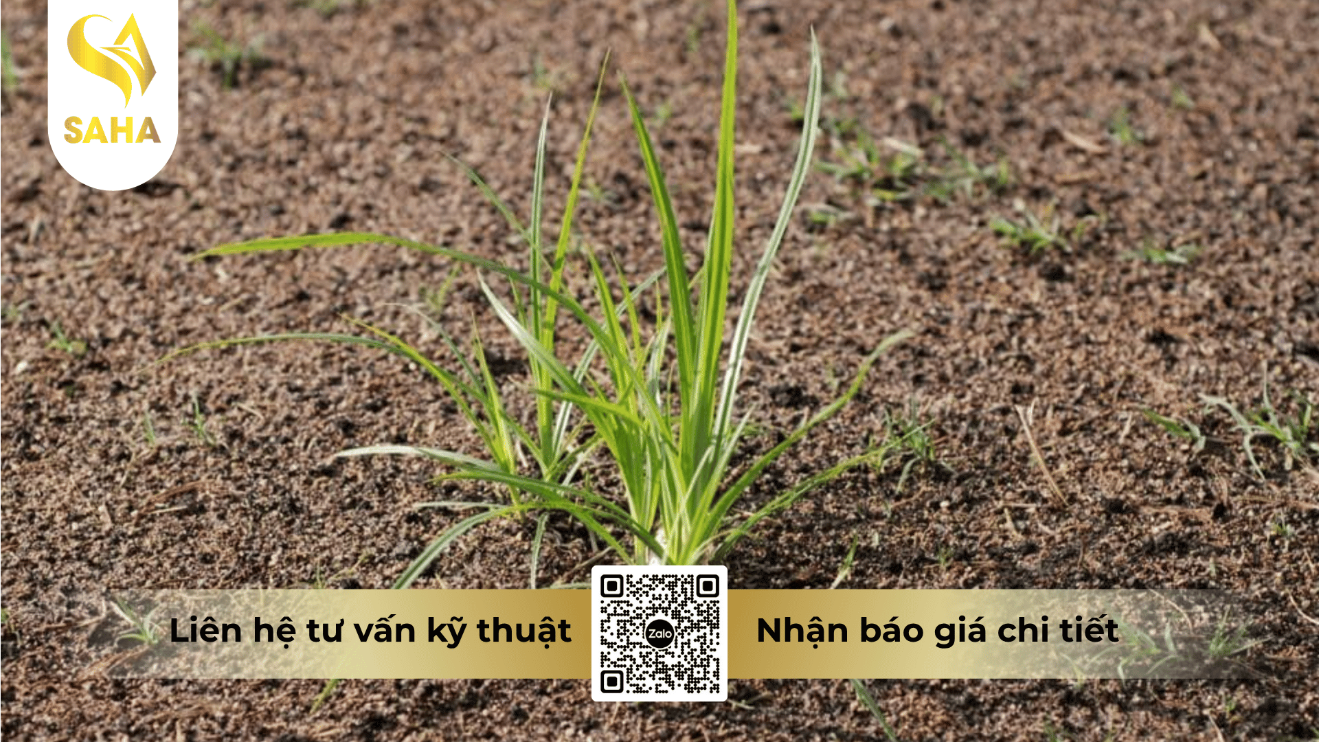 cong-dung-thuoc-tru-co-ari-25ec.png