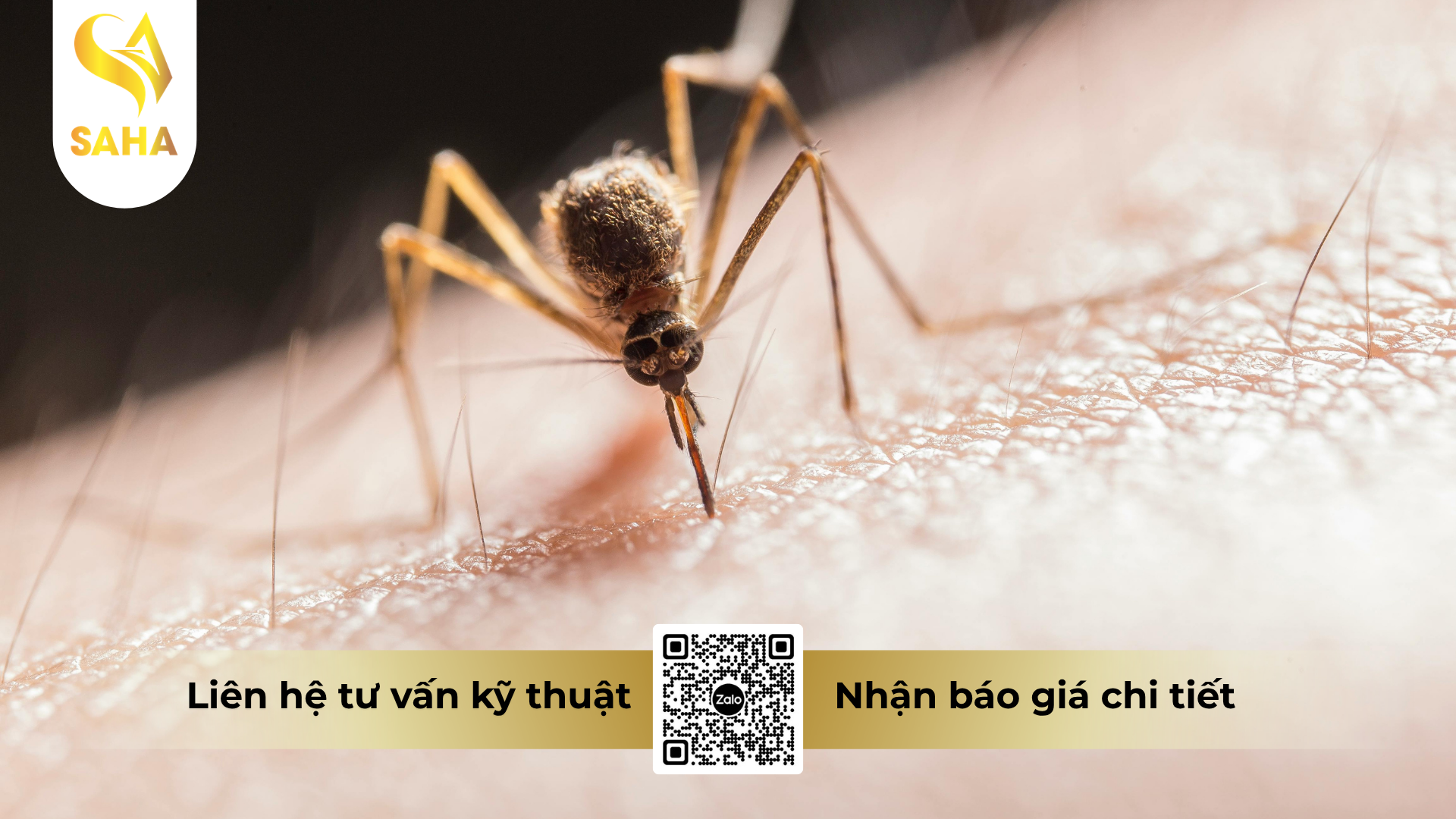 cong-dung-cua-che-pham-y-te-diet-con-trung-pertin-500ec-100ml.png