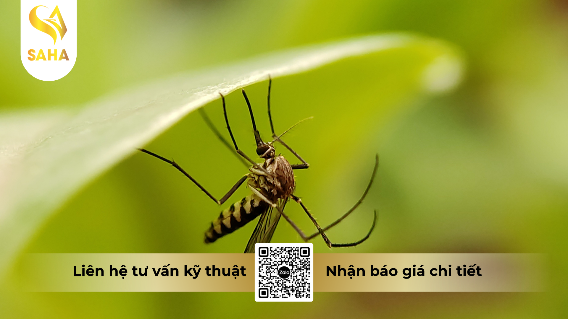 cau-hoi-thuong-gap-ve-che-pham-y-te-diet-con-trung-pertin-500ec-100ml.png