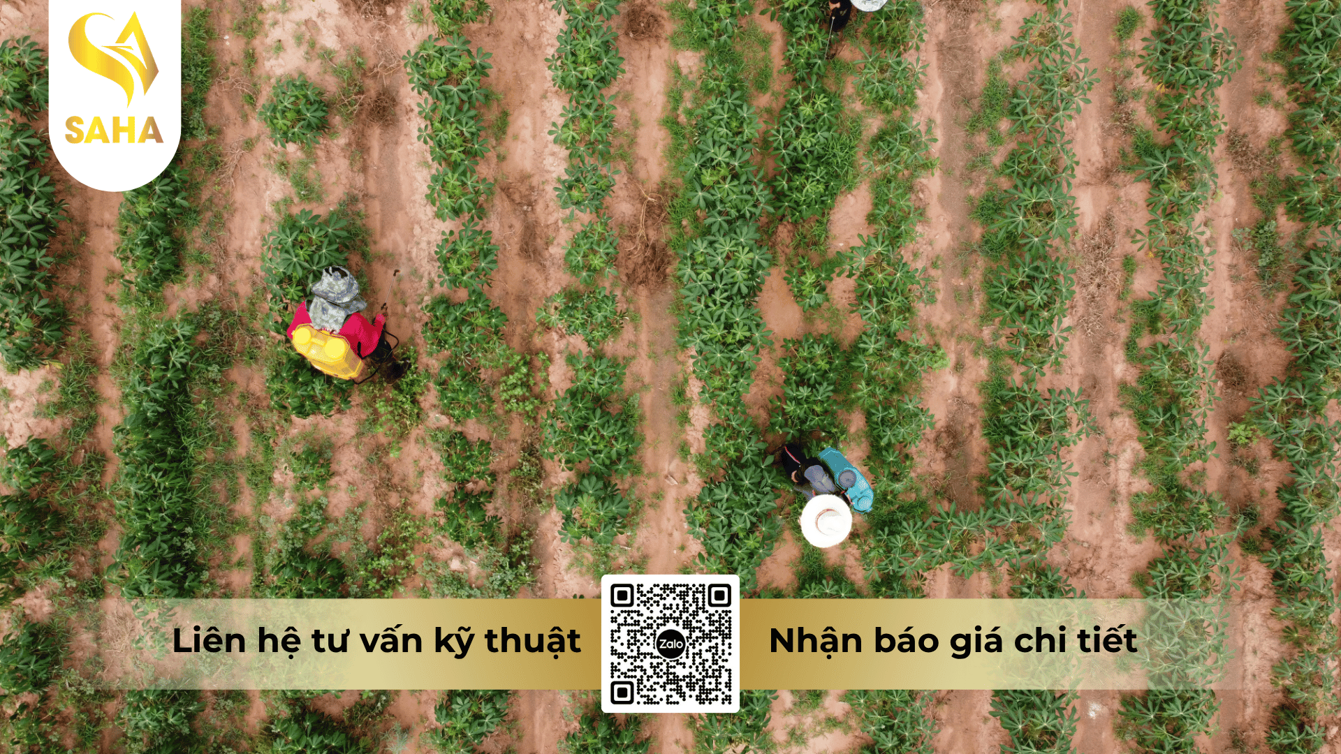 cau-hoi-thuong-gap.png
