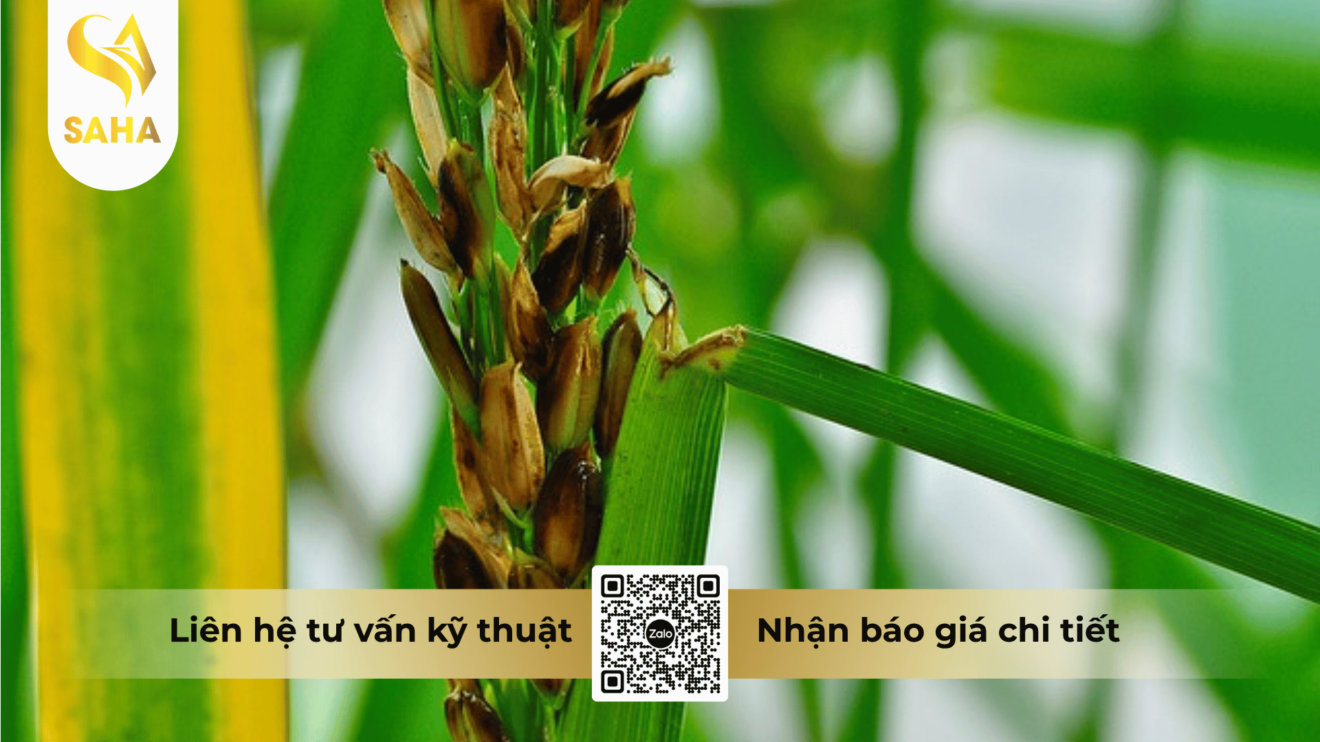 cong-dung-thuoc-tru-benh-asmiltatop-super-400sc.png