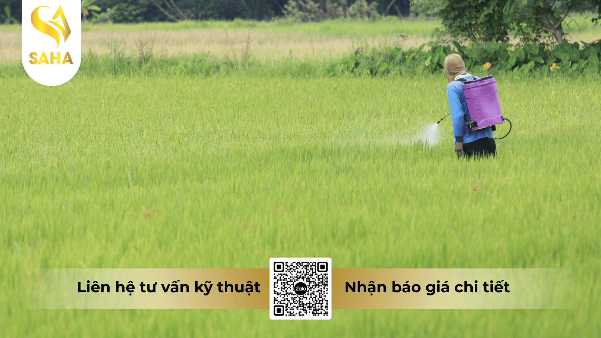 cau-hoi-thuong-gap.png