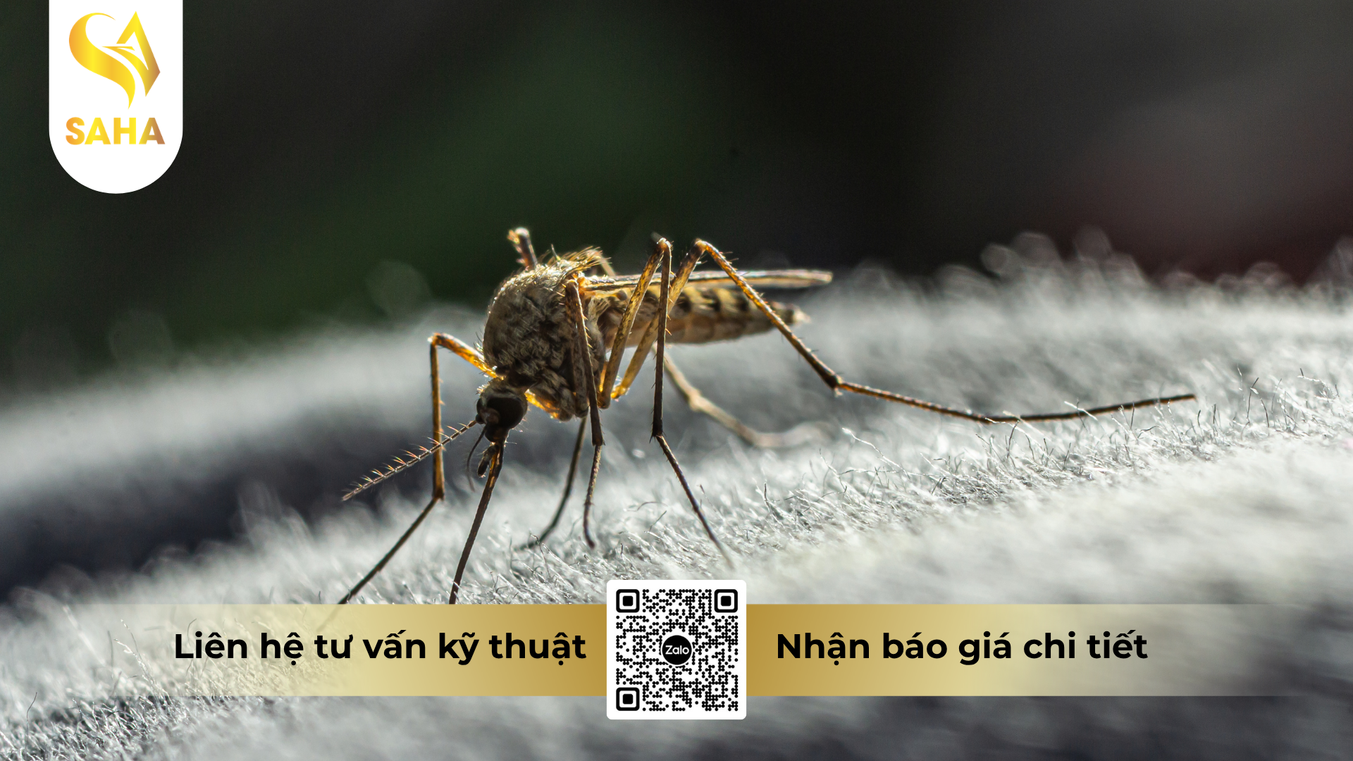 cong-dung-cua-che-pham-y-te-diet-con-trung-pertin-500ec-1l.png