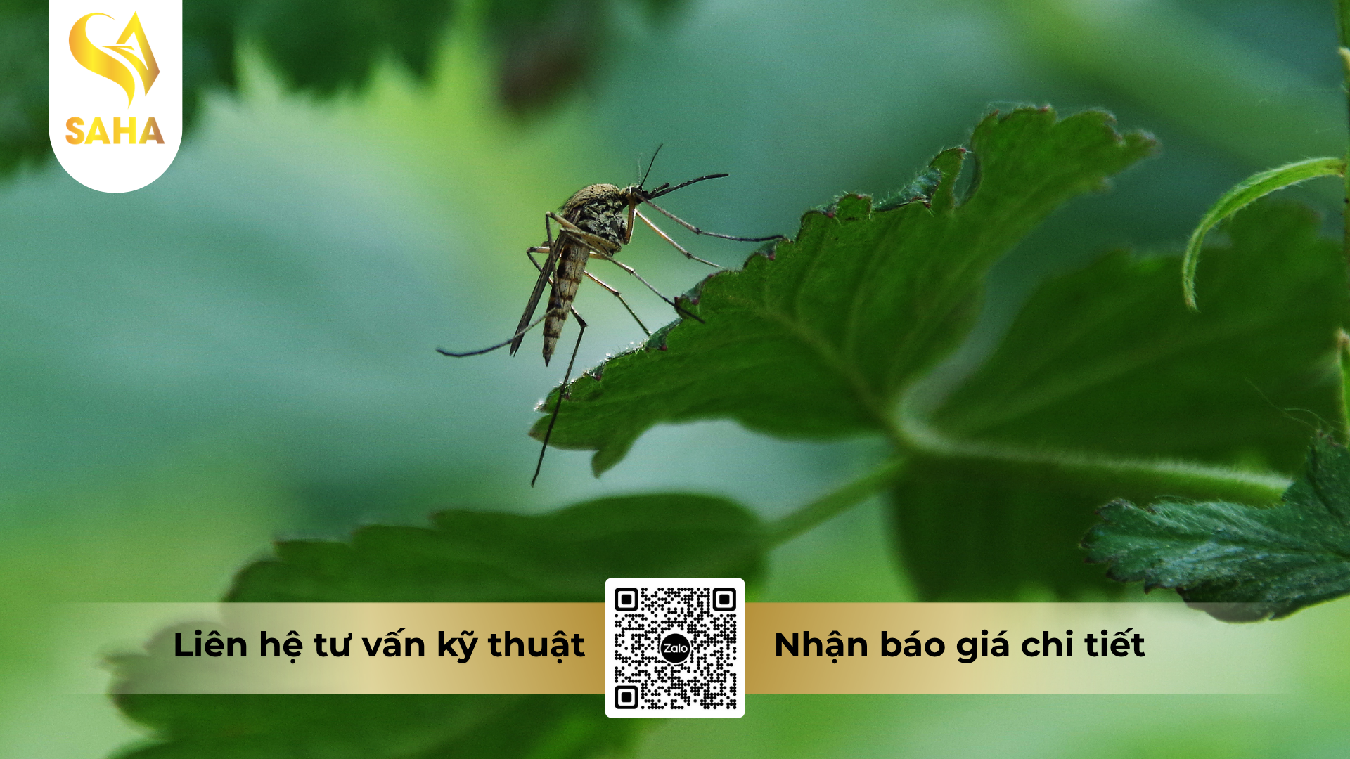 cau-hoi-thuong-gap-ve-che-pham-y-te-diet-con-trung-pertin-500ec-1l.png