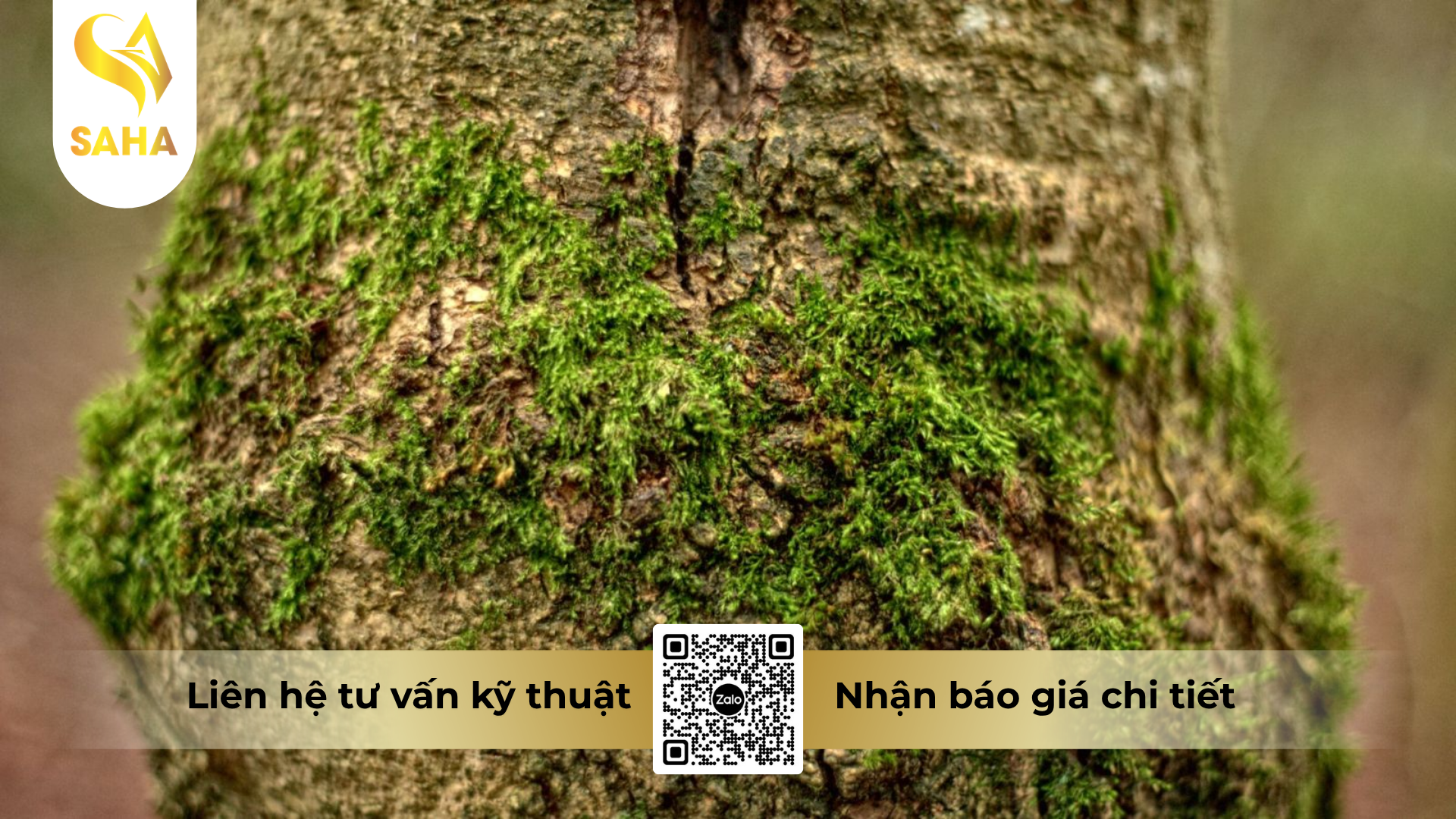 cong-dung-cua-hoa-chat-phuc-vu-nong-nghiep-power-chlorine-70wp.png