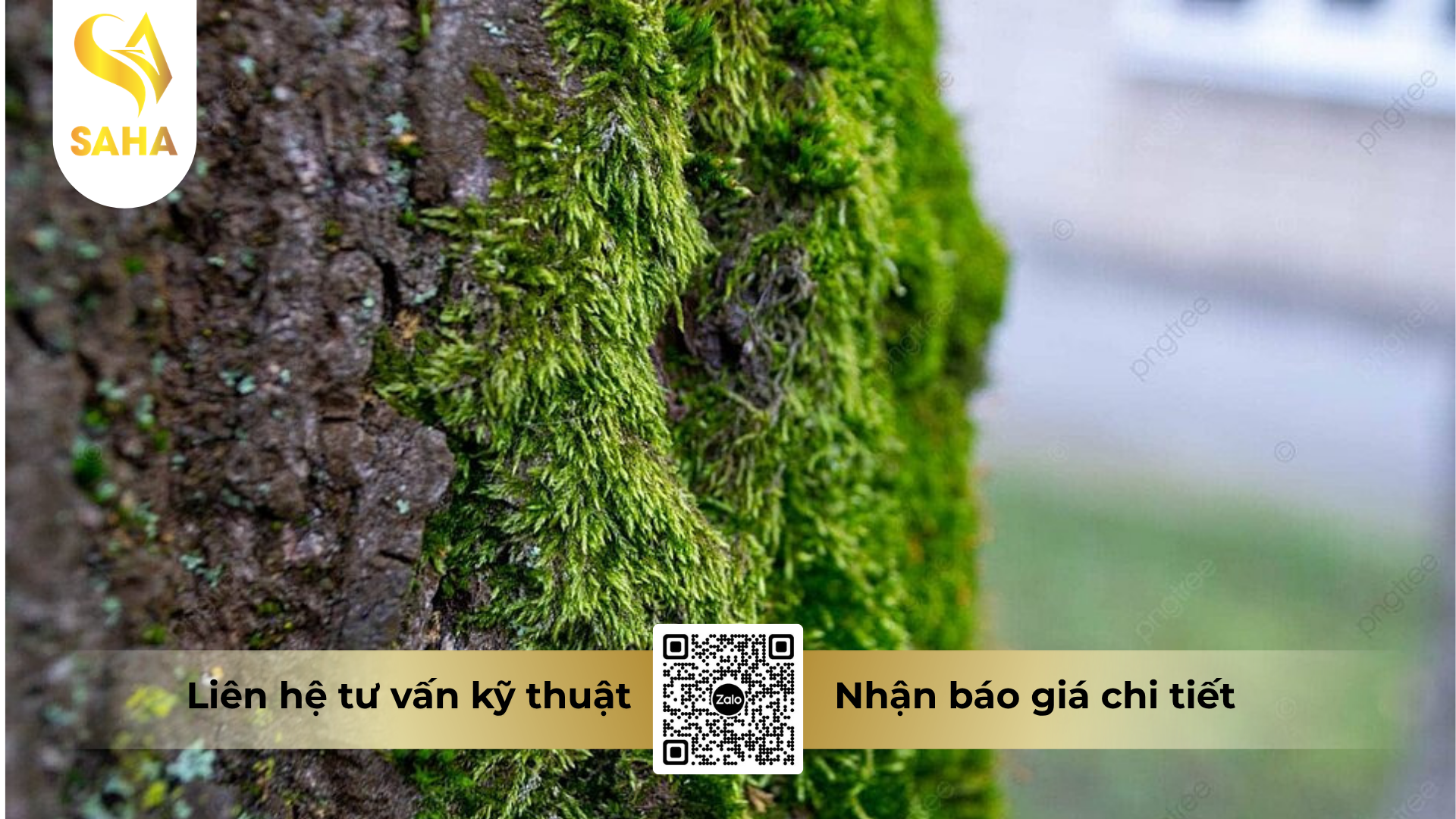 cau-hoi-thuong-gap-ve-hoa-chat-phuc-vu-nong-nghiep-power-chlorine-70wp.png