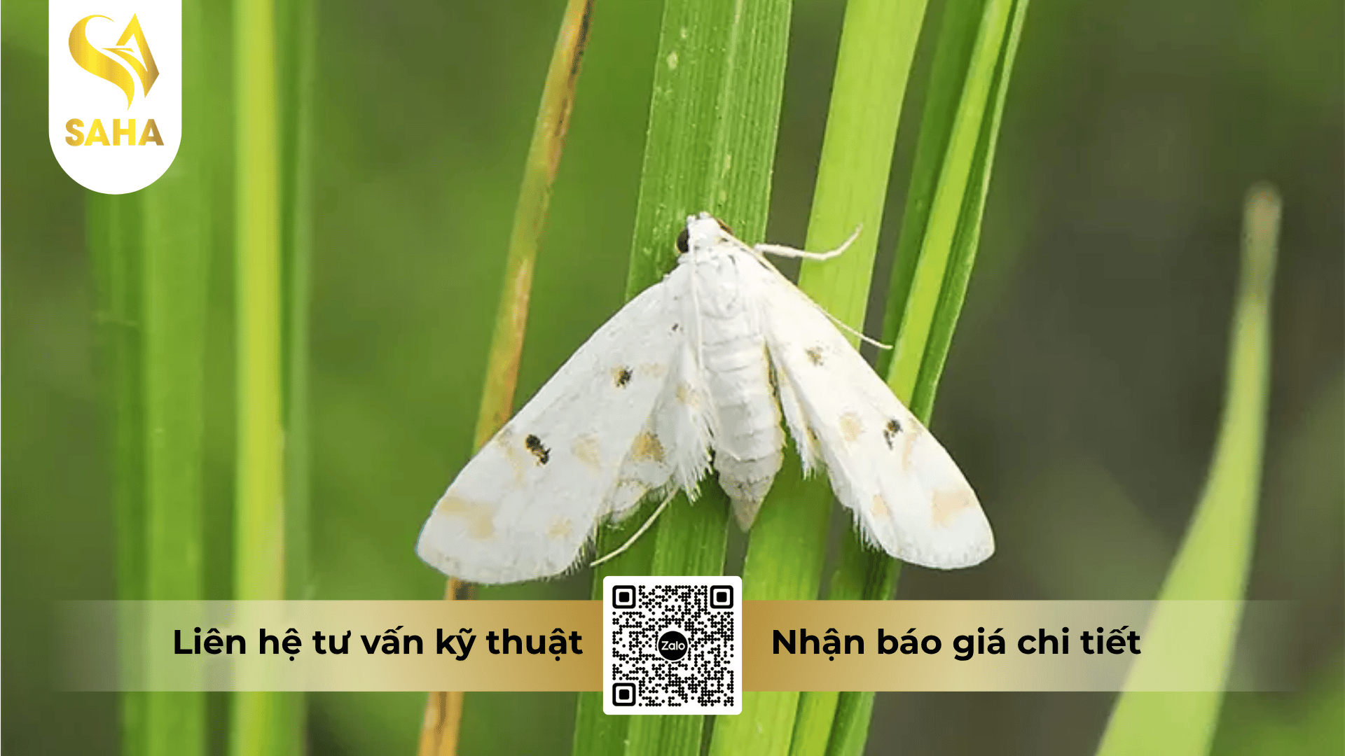 cong-dung-thuoc-tru-sau-atannong-50ec.png