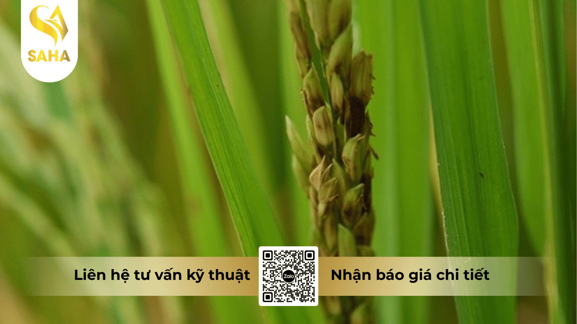thong-tin-chung-thuoc-tru-benh-atintin-400ec.png