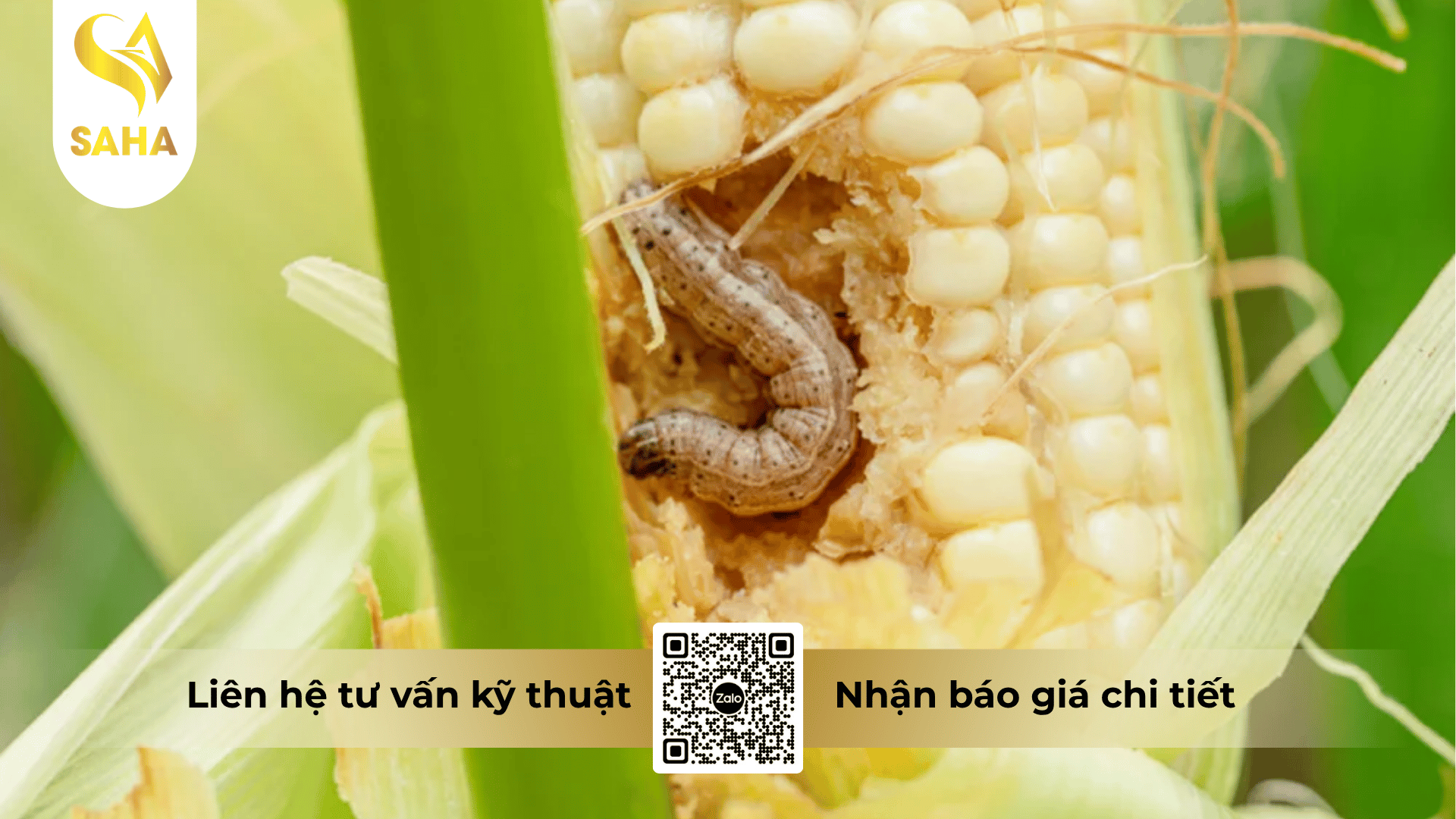 thong-tin-chung-thuoc-tru-sau-atmeca-40sc.png