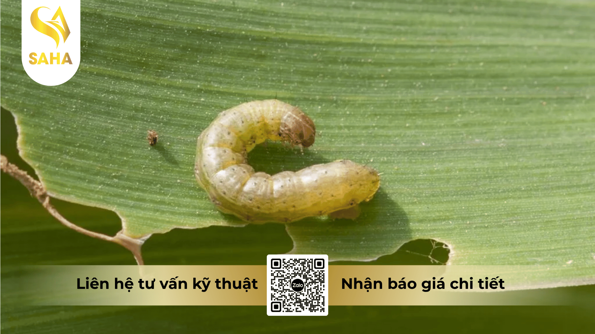cong-dung-thuoc-tru-sau-atmeca-40sc.png