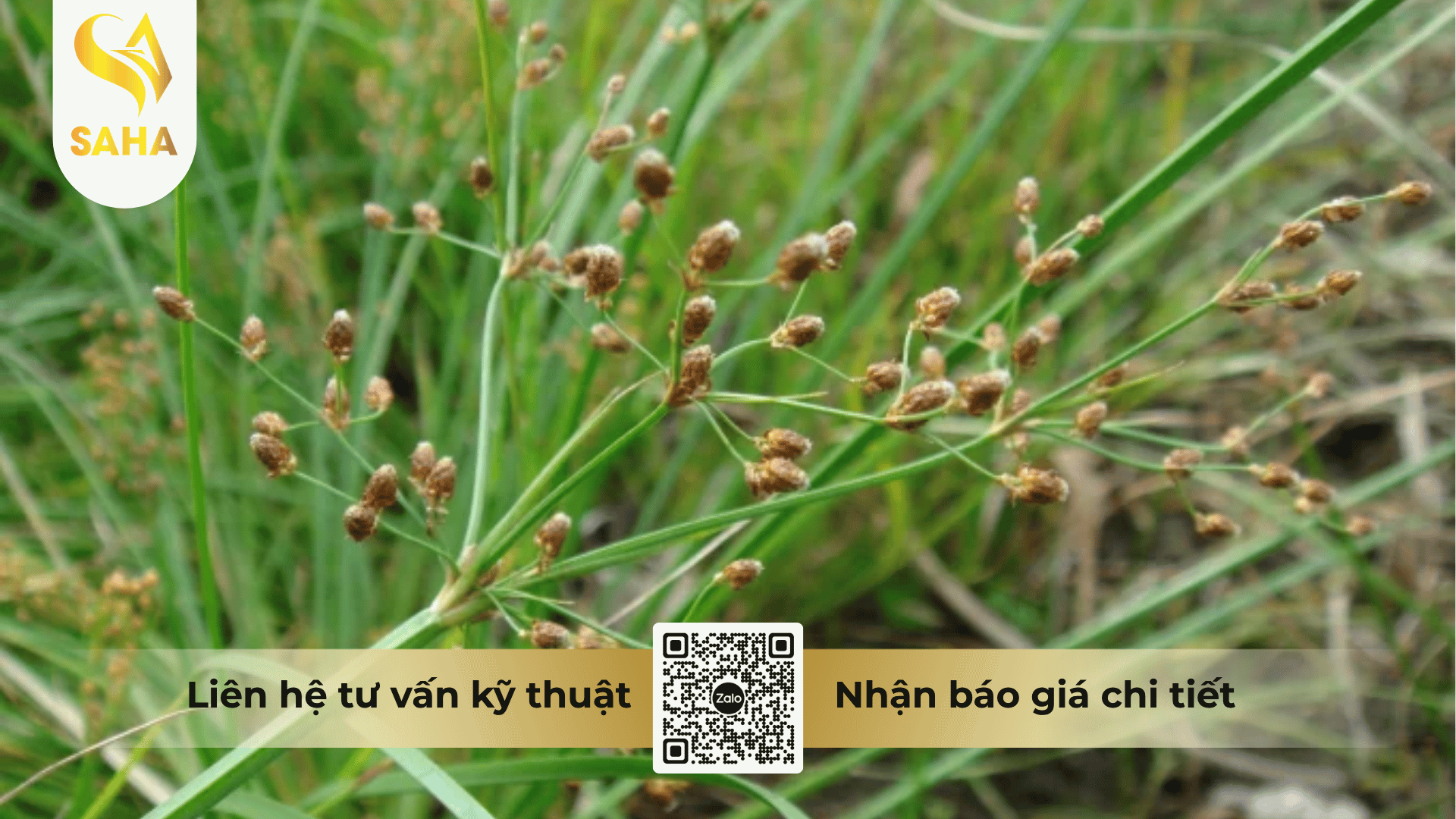 thong-tin-chung-thuoc-tru-co-atra-annong-500fw.png