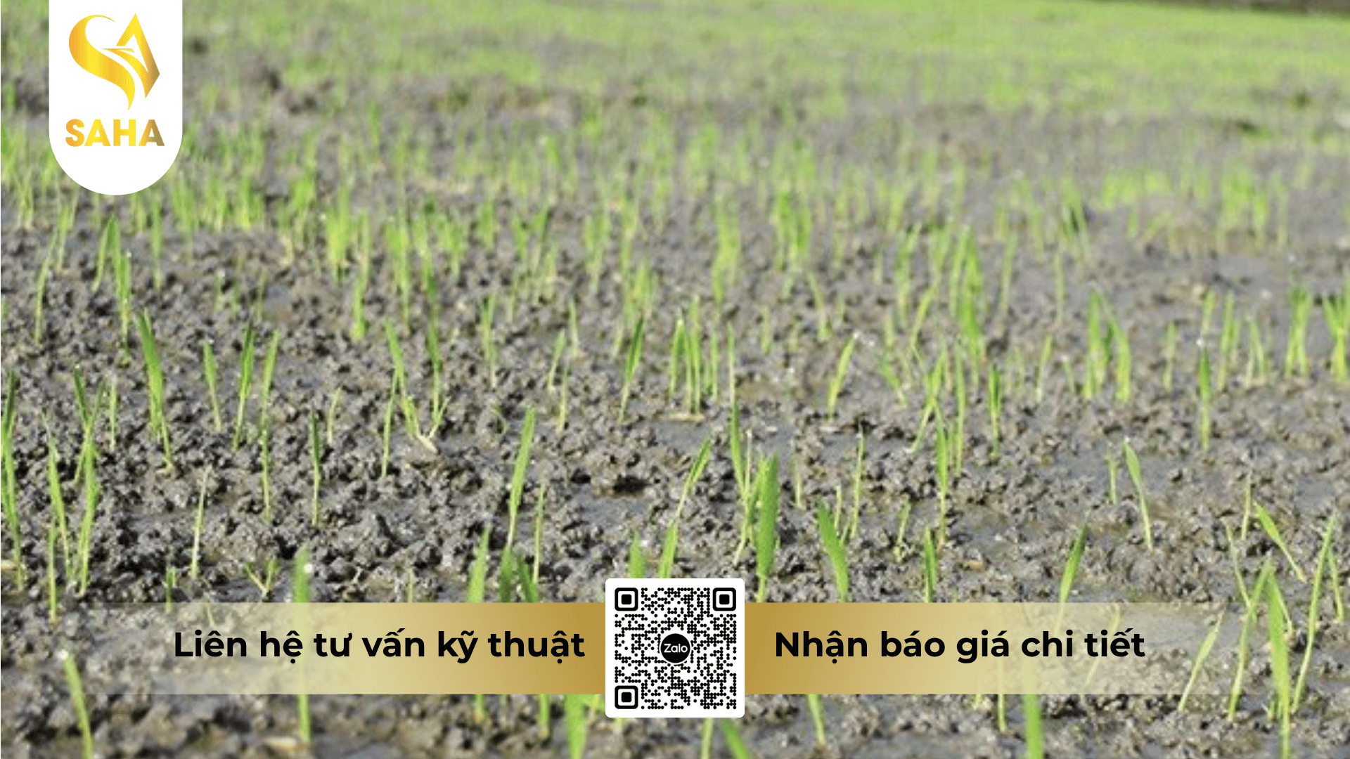 cong-dung-thuoc-tru-co-atra-annong-800wp.png