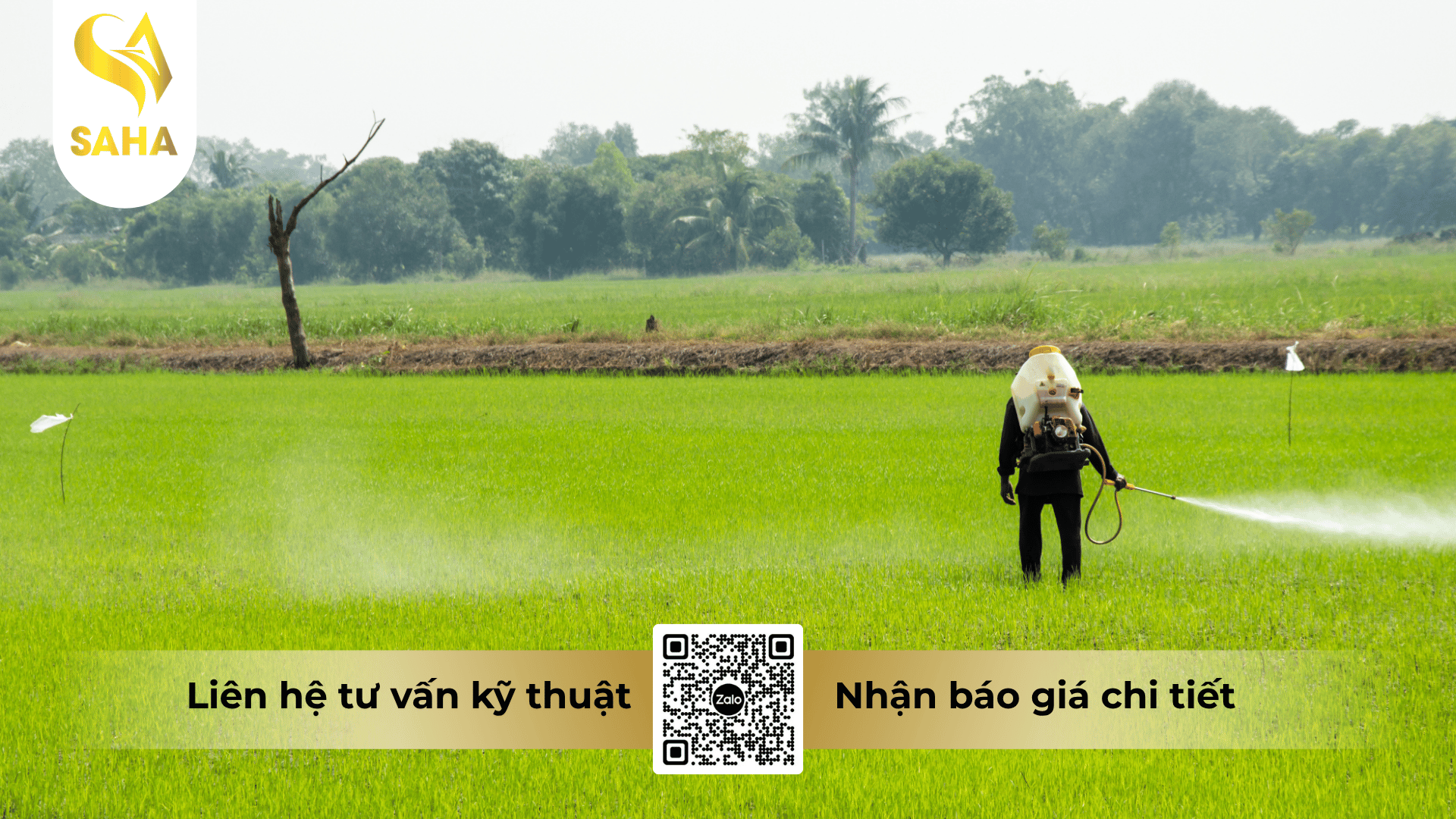 cau-hoi-thuong-gap.png
