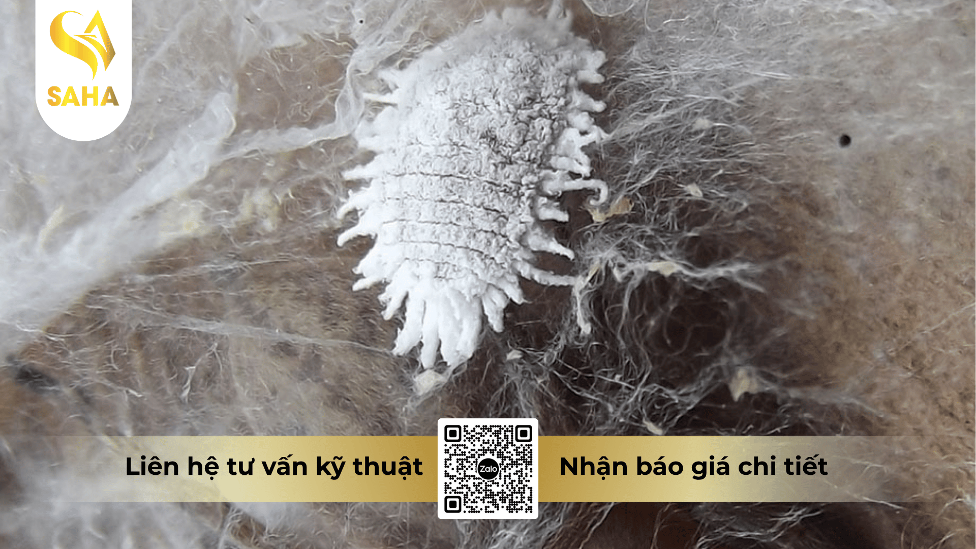 cong-dung-thuoc-tru-sau-atylo-650wp.png