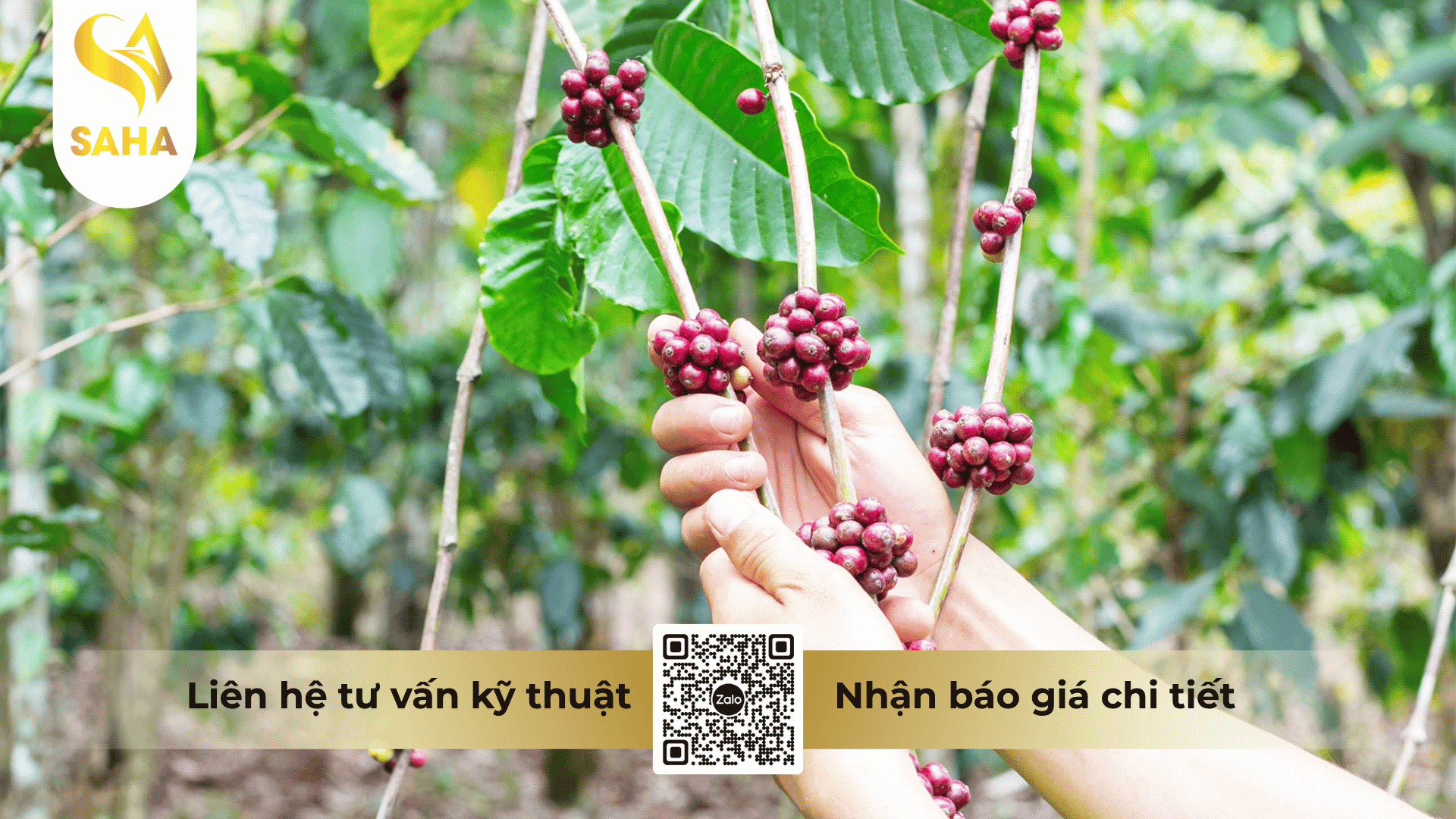 cau-hoi-thuong-gap.png