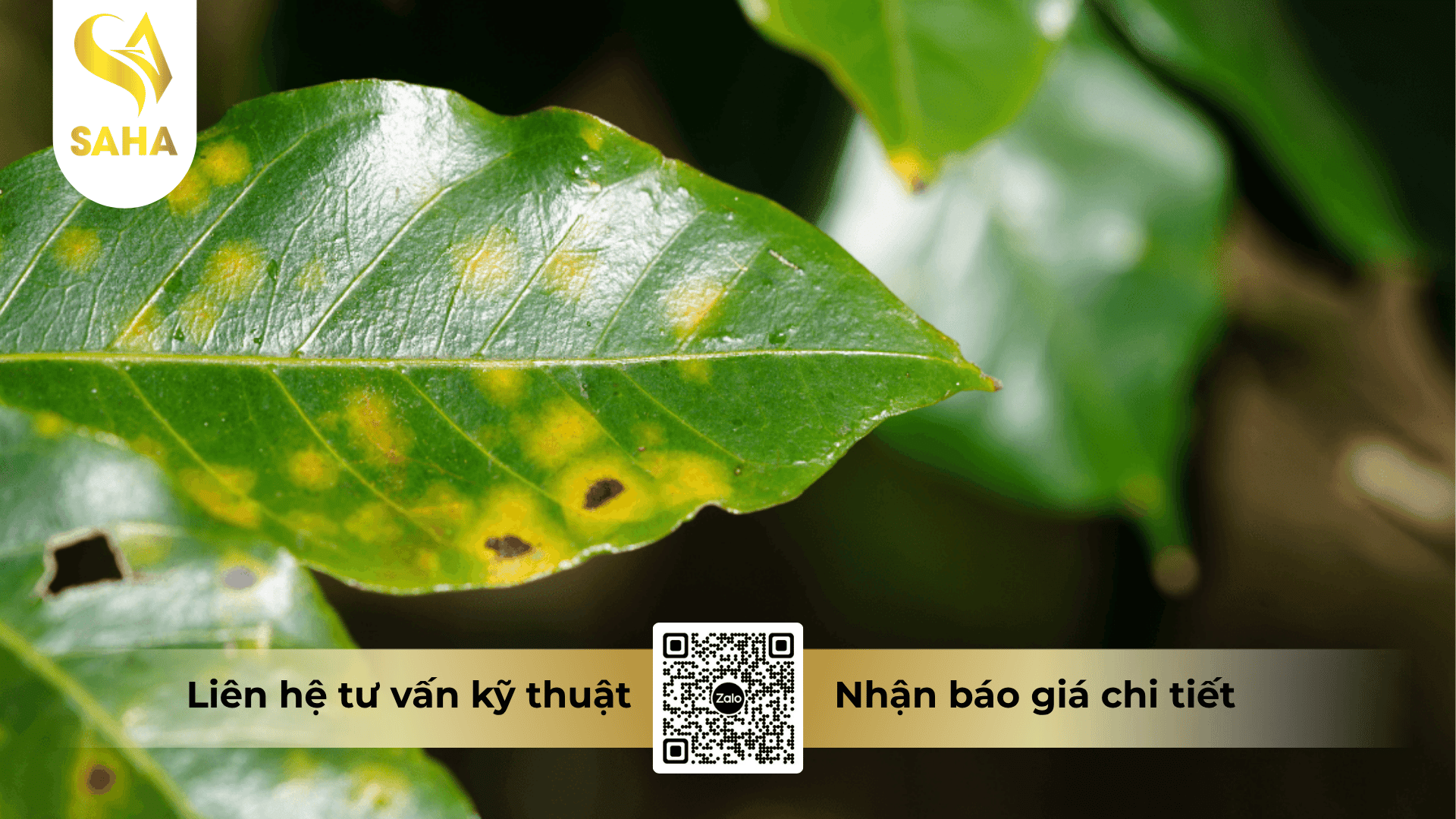 thong-tin-chung-thuoc-tru-benh-au-perzoxin-48sc.png