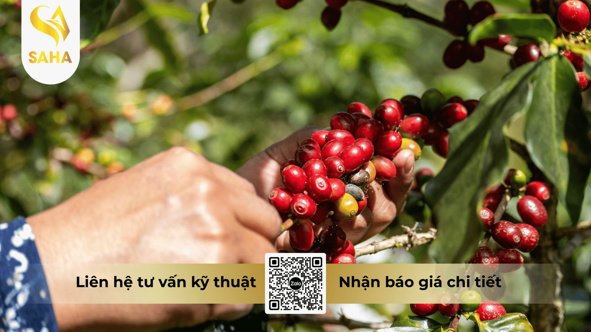 cau-hoi-thuong-gap.png