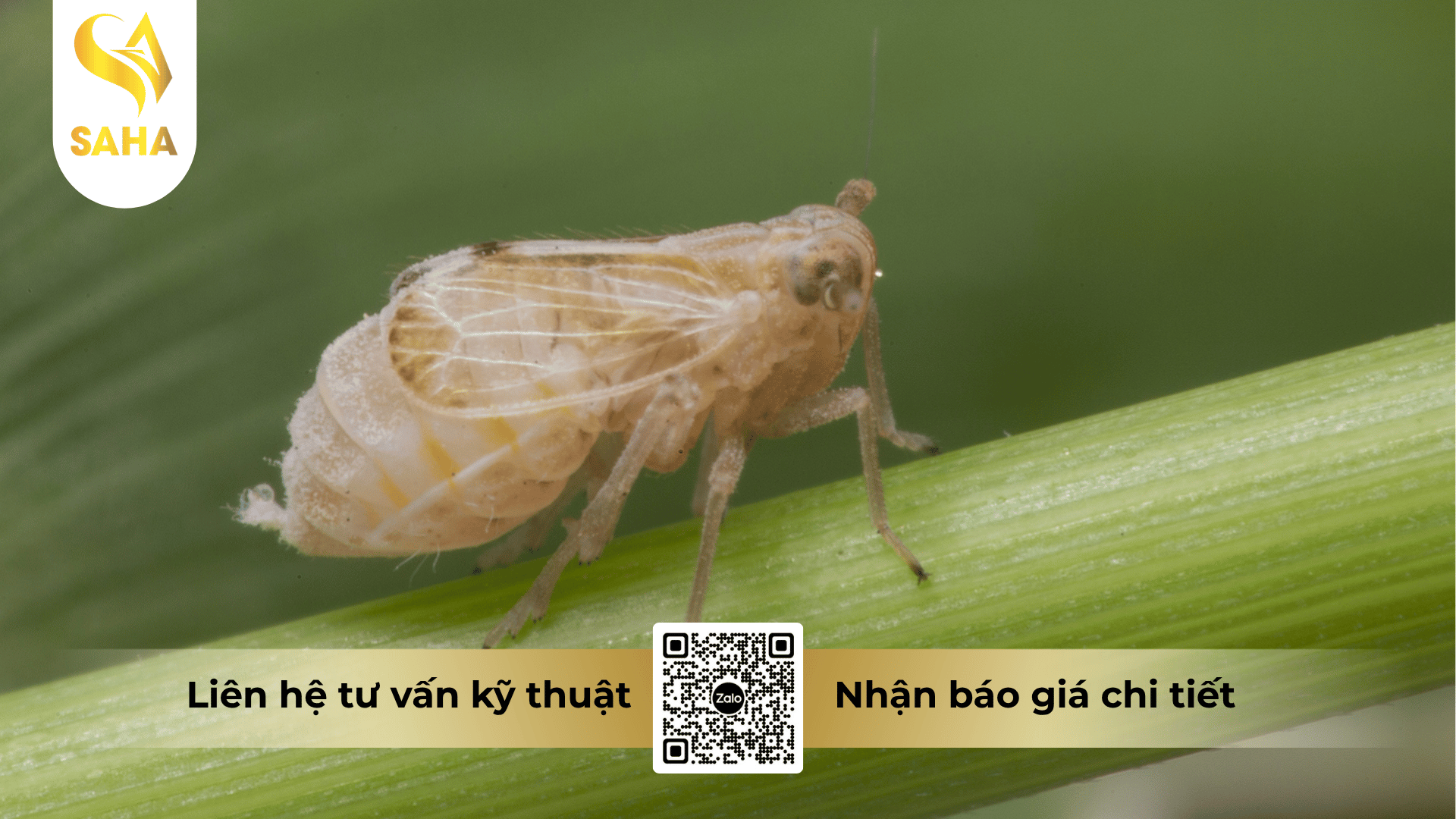 thong-tin-chung-thuoc-tru-sau-autopro-360sc.png
