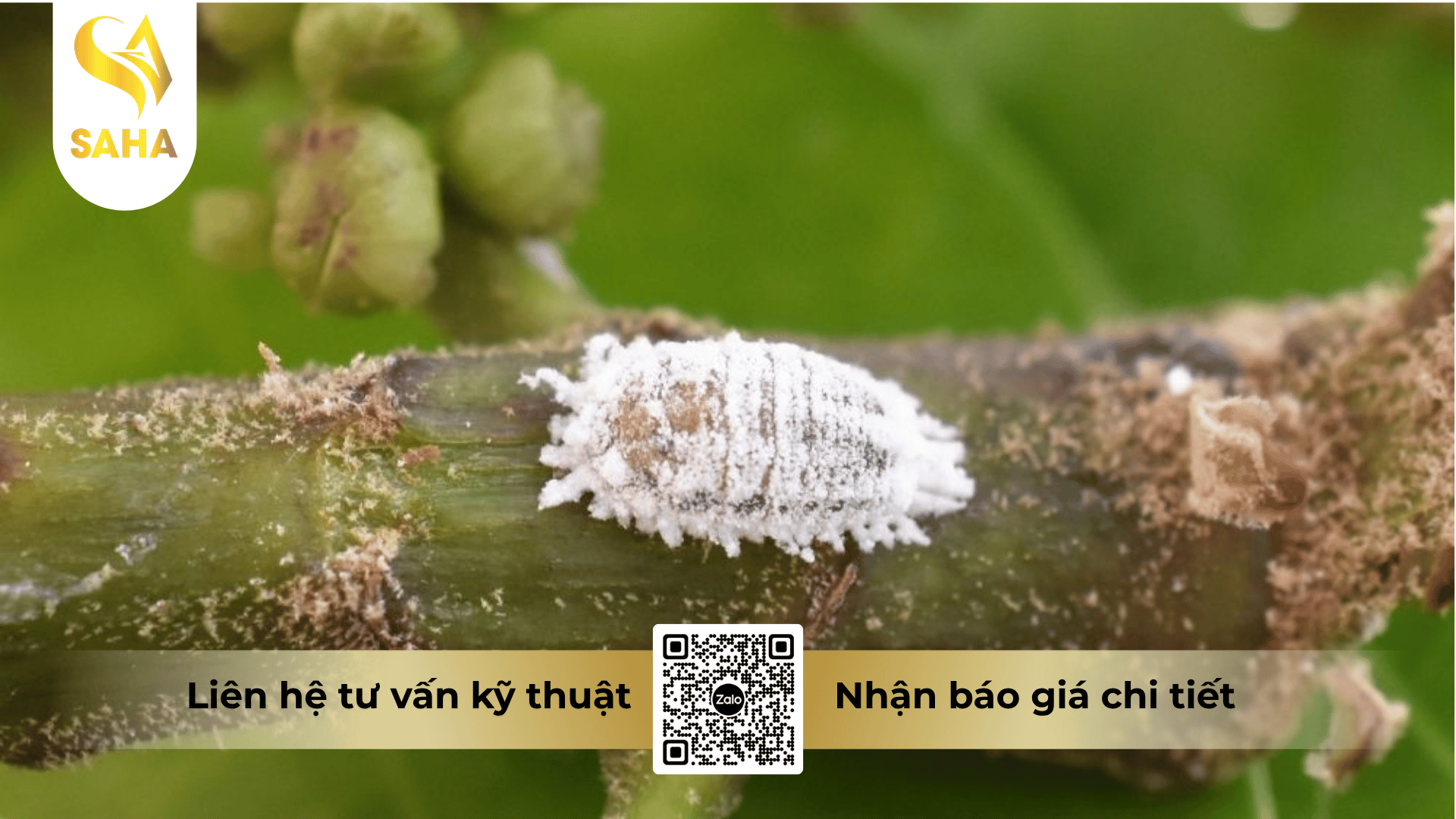 cong-dung-thuoc-tru-sau-autopro-360sc.png