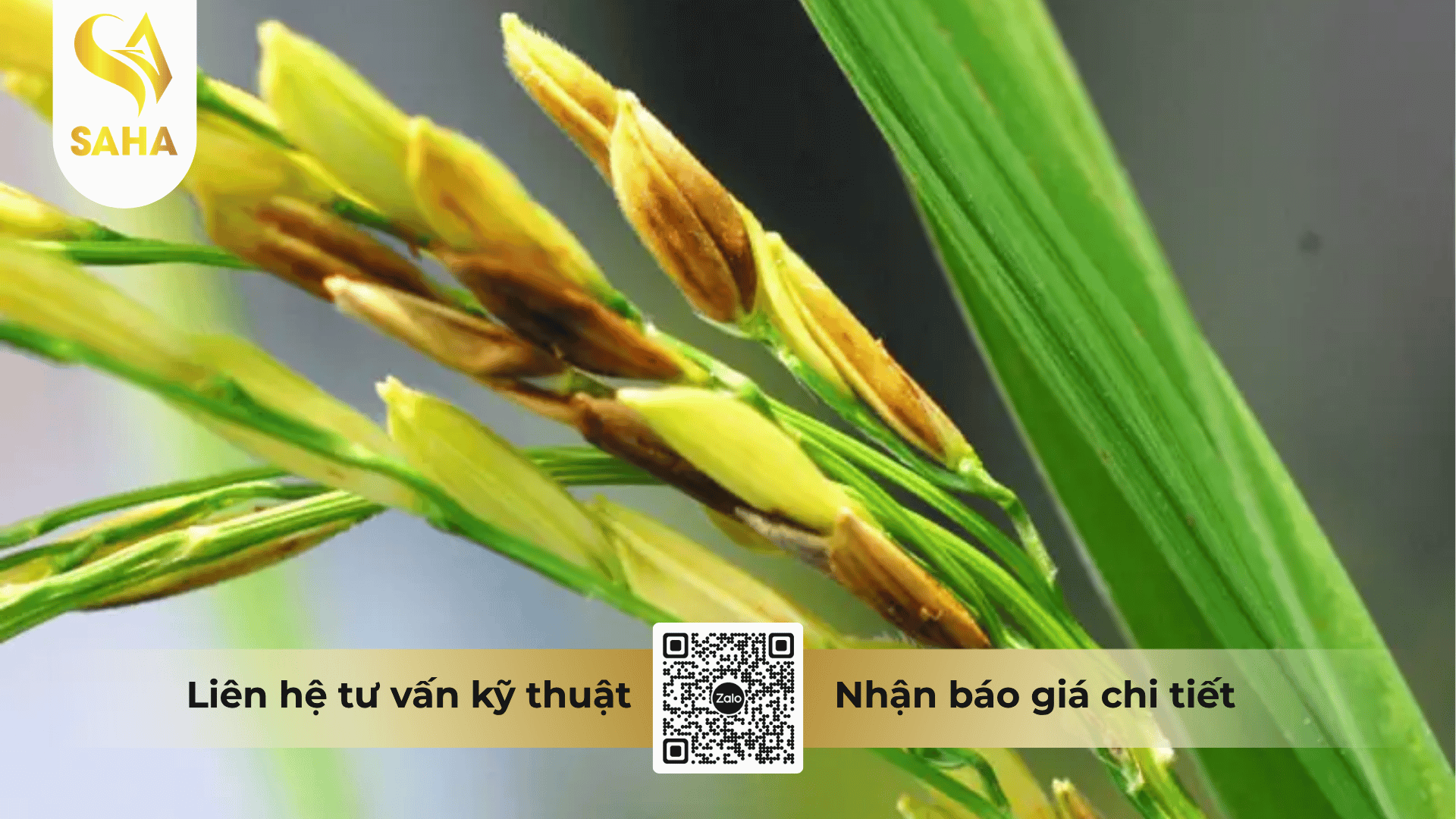 thong-tin-chung-thuoc-tru-benh-autozole-300ec.png