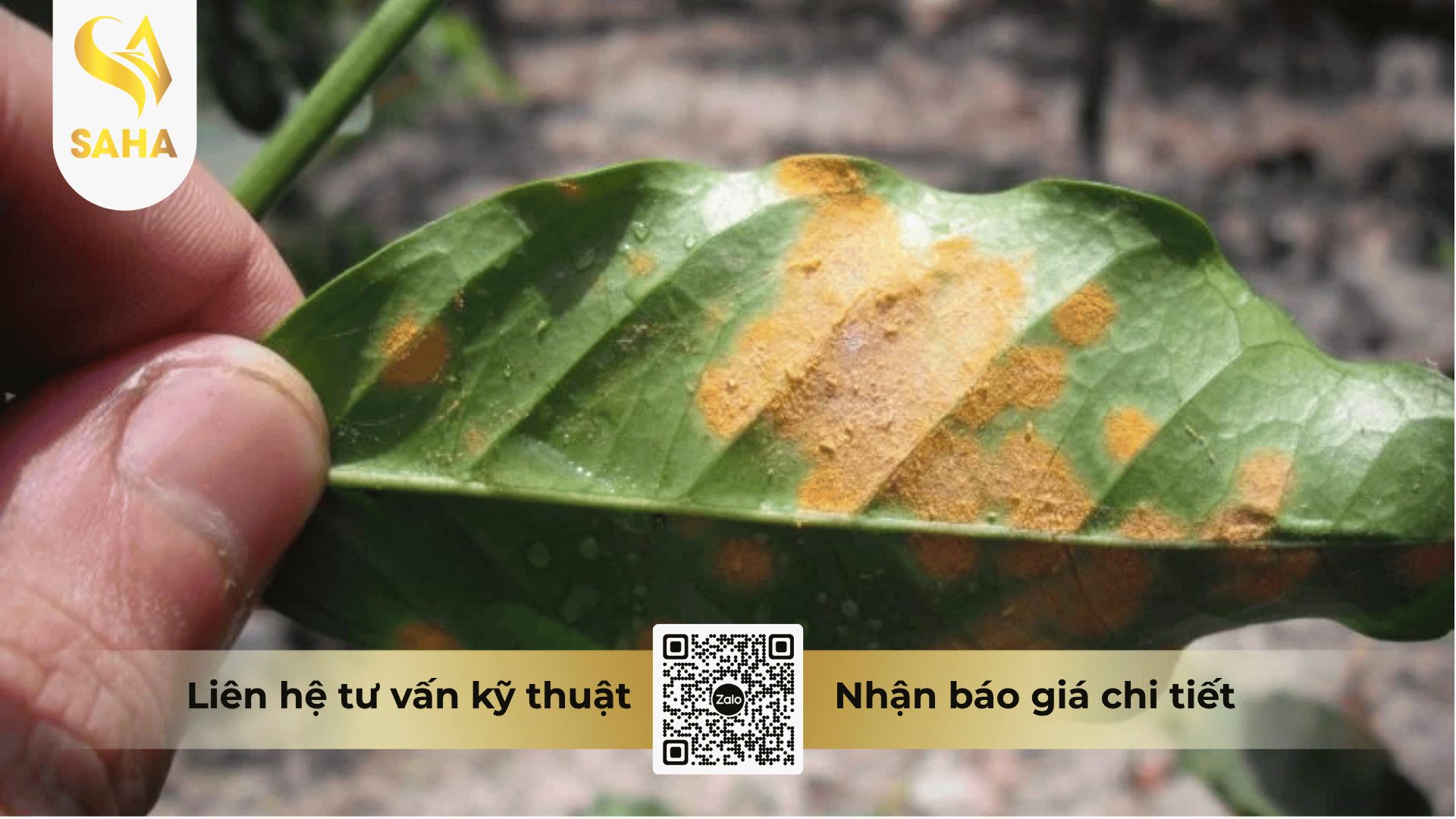 cong-dung-thuoc-tru-benh-avial-660sc.png