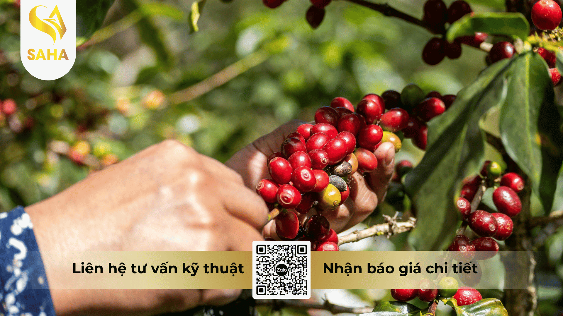 cau-hoi-thuong-gap.png