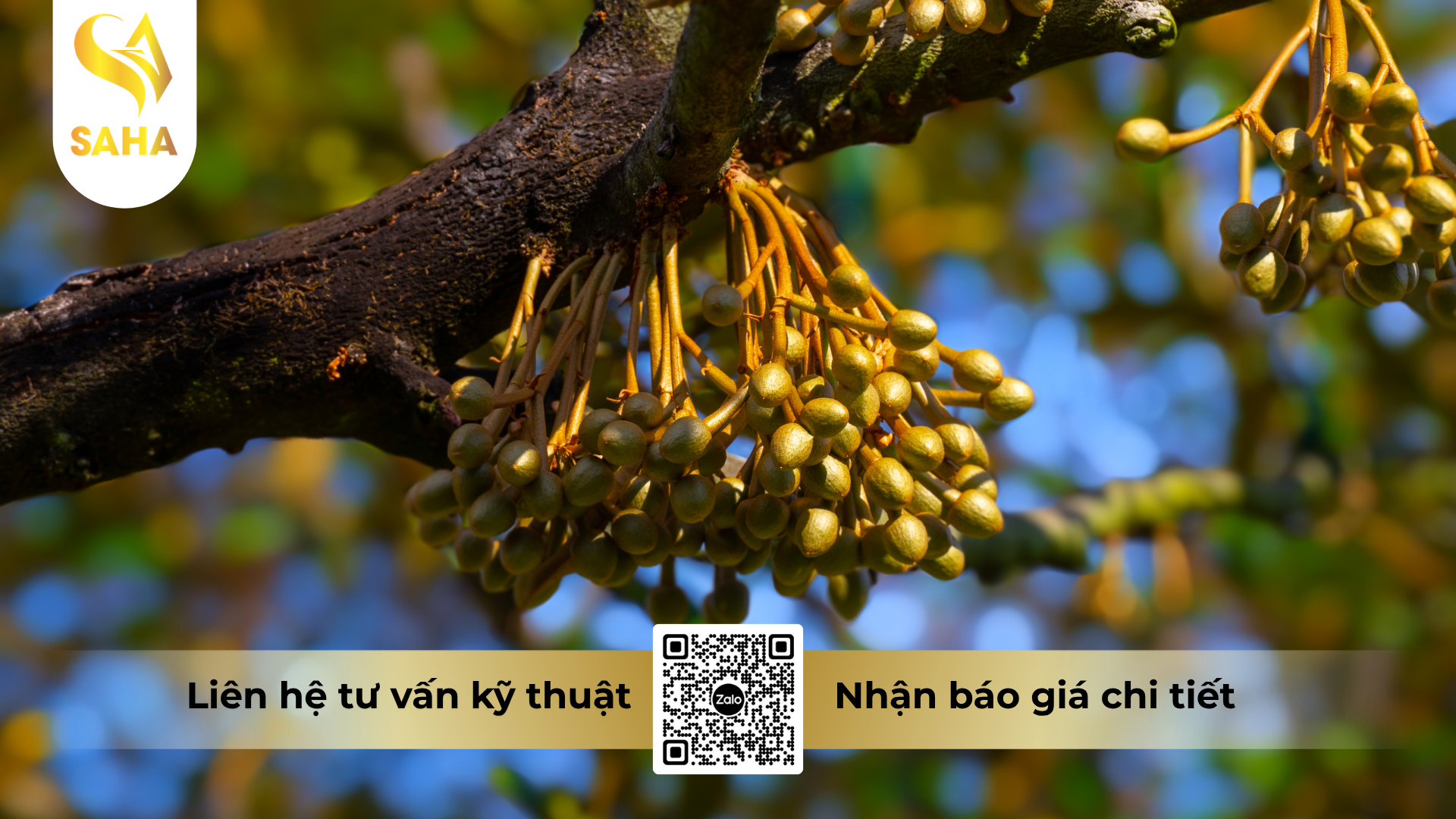 cau-hoi-thuong-gap-ve-phan-bon-vi-luong-abc-bobomic-hieu-calcium-boron.png